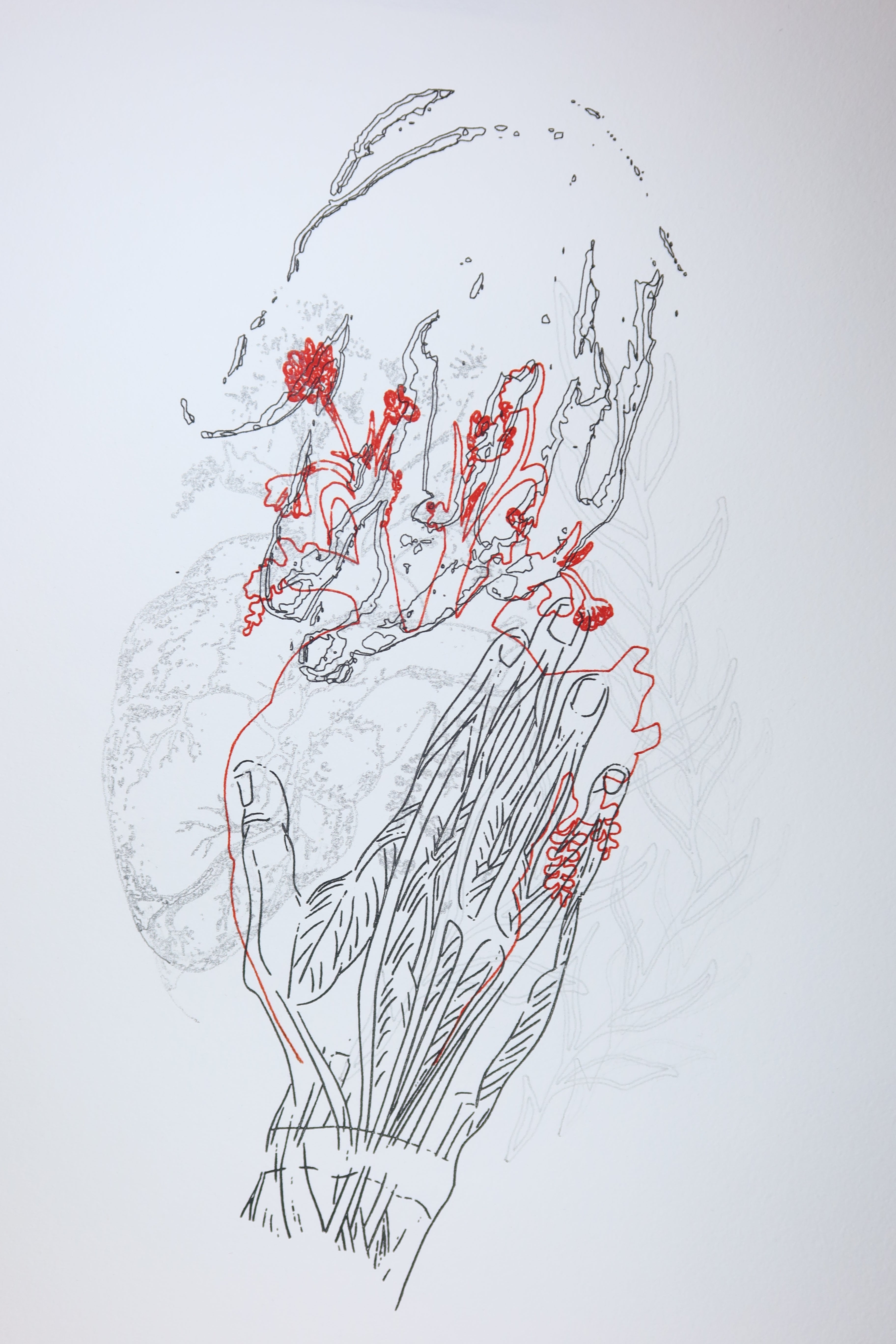 Œuvre de la collection Corpvide représentant une main, des fleurs et un cœur anatomique, réalisée au dessin au feutre et au crayon.