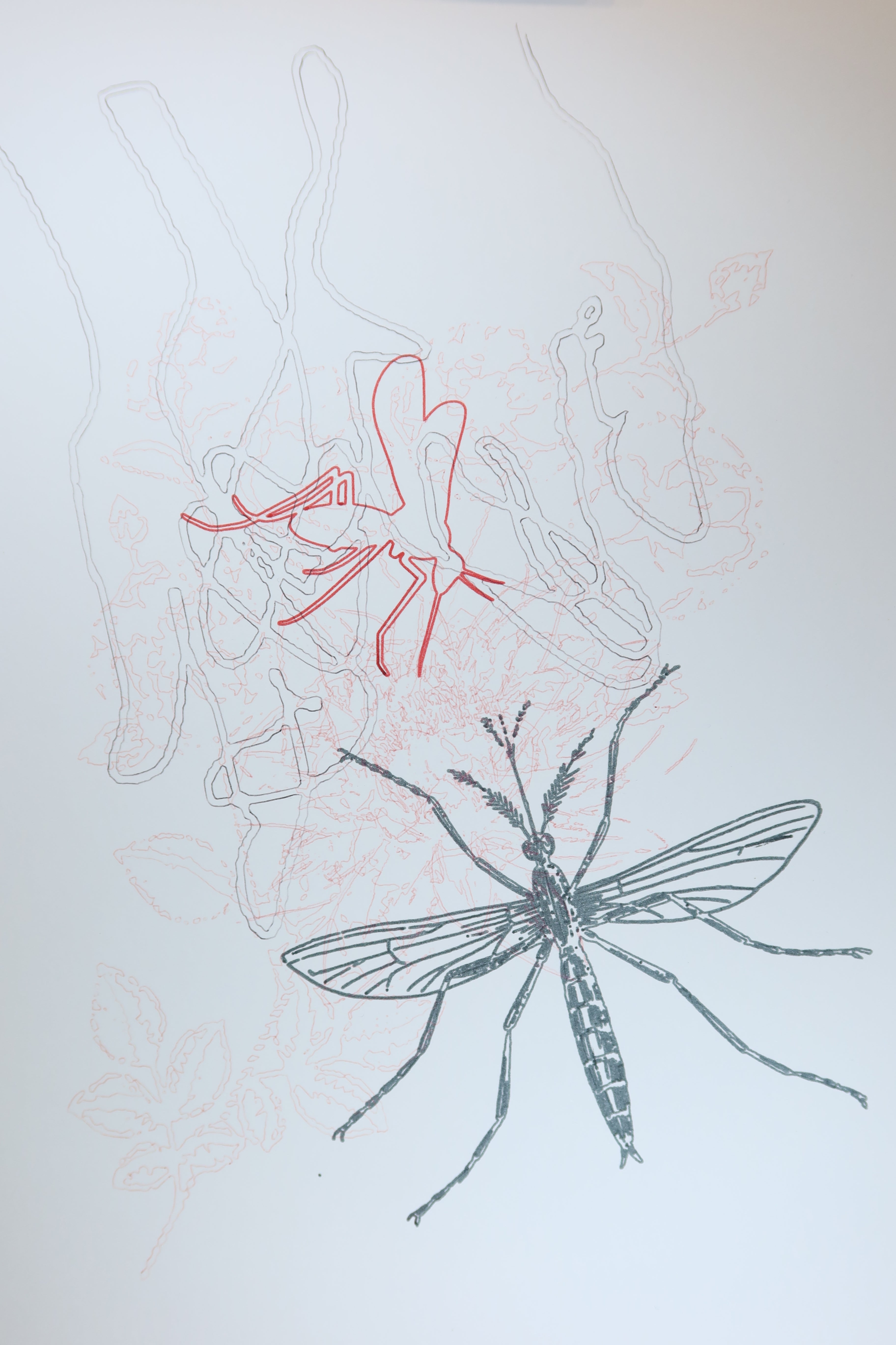 Œuvre de la collection Corpvide représentant des mains et une libellule, réalisée au dessin au feutre et au crayon.