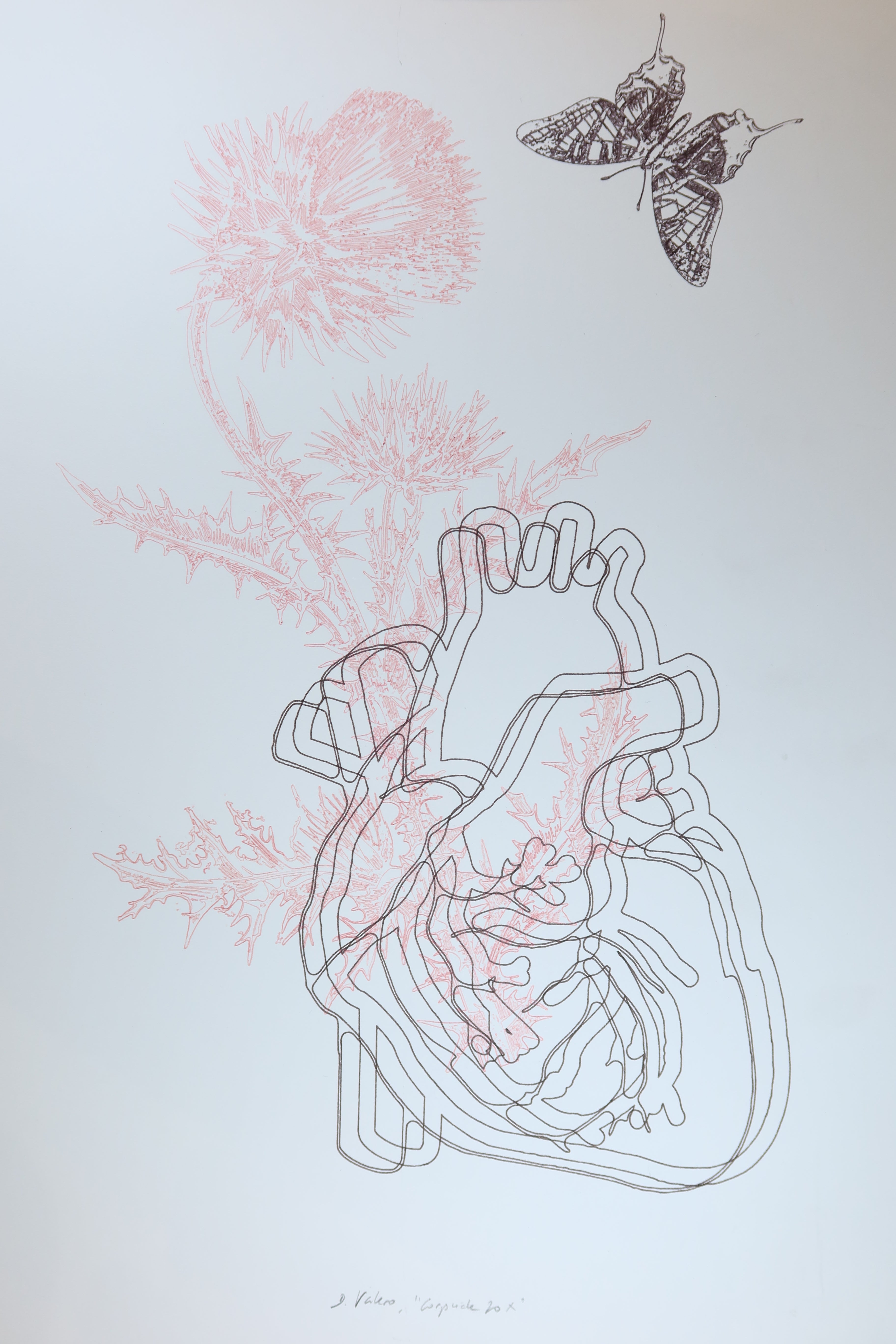 Œuvre de la collection Corpvide représentant un papillon, des fleurs et un cœur anatomique, réalisée au dessin au feutre et au crayon.