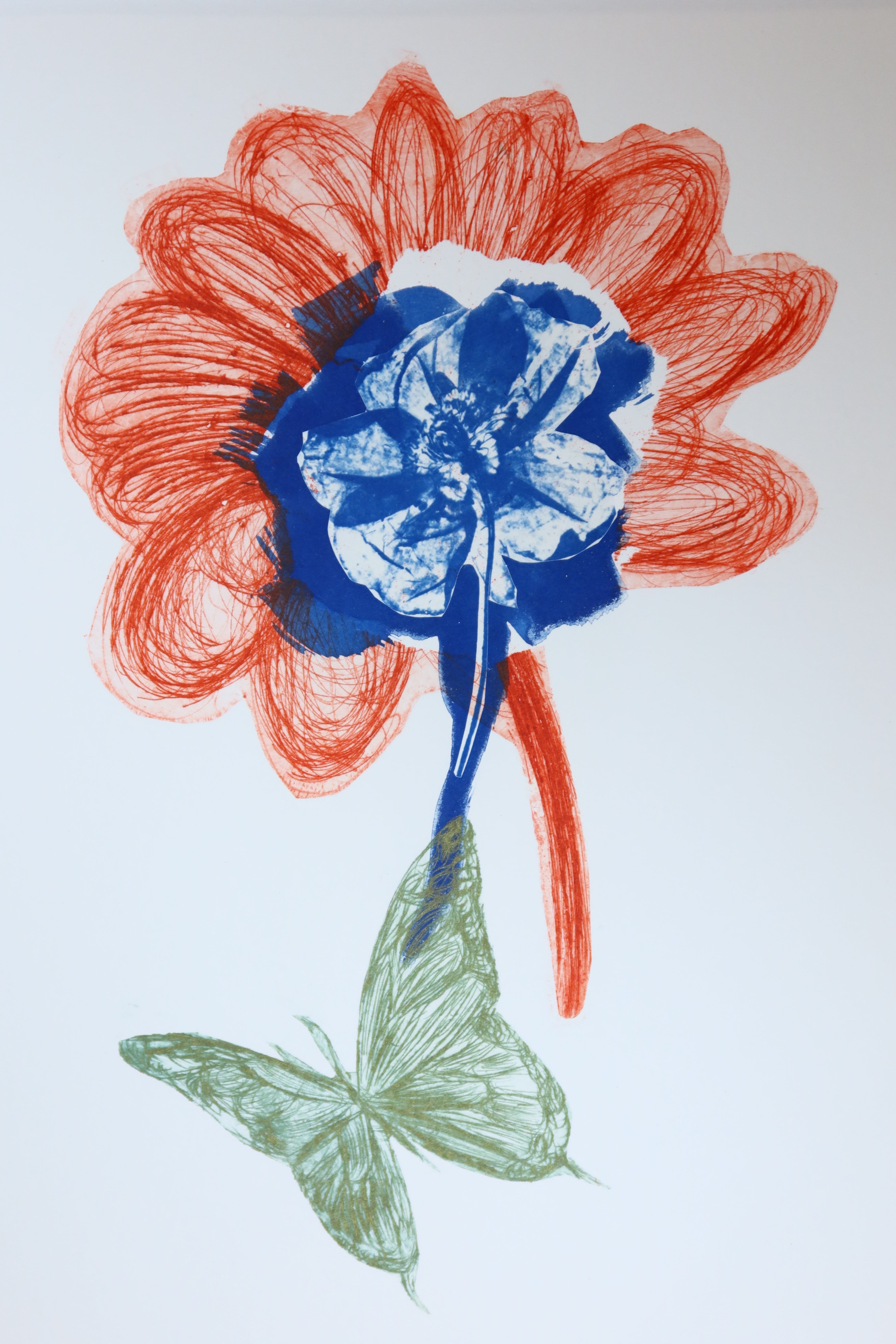 Œuvre originale de la collection Memoria, cyanotype et gravure sur papier, motif de fleur et de papillon.