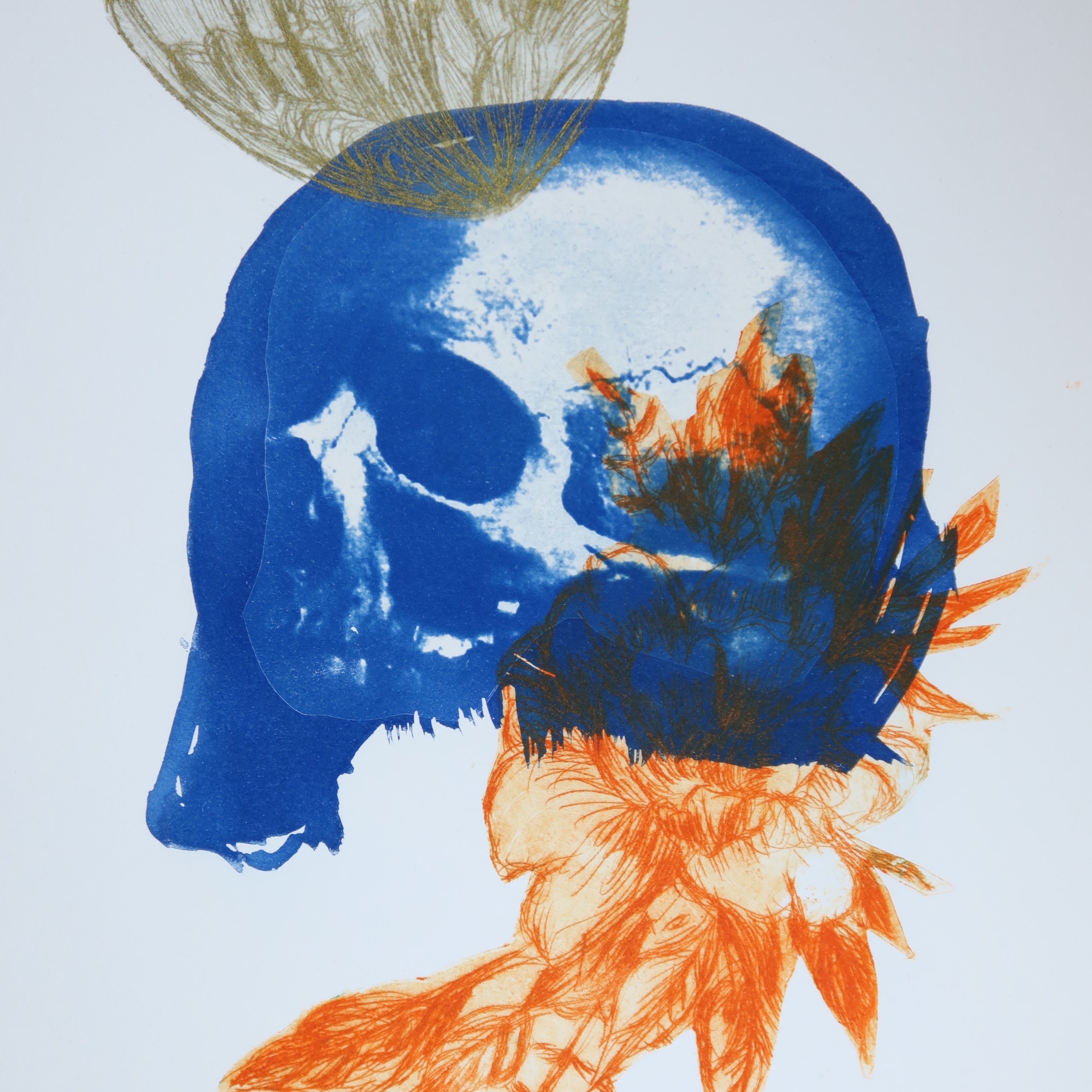 Œuvre originale de la collection Memoria, cyanotype et gravure sur papier, motif de papillon, de crâne et de fleur orange.