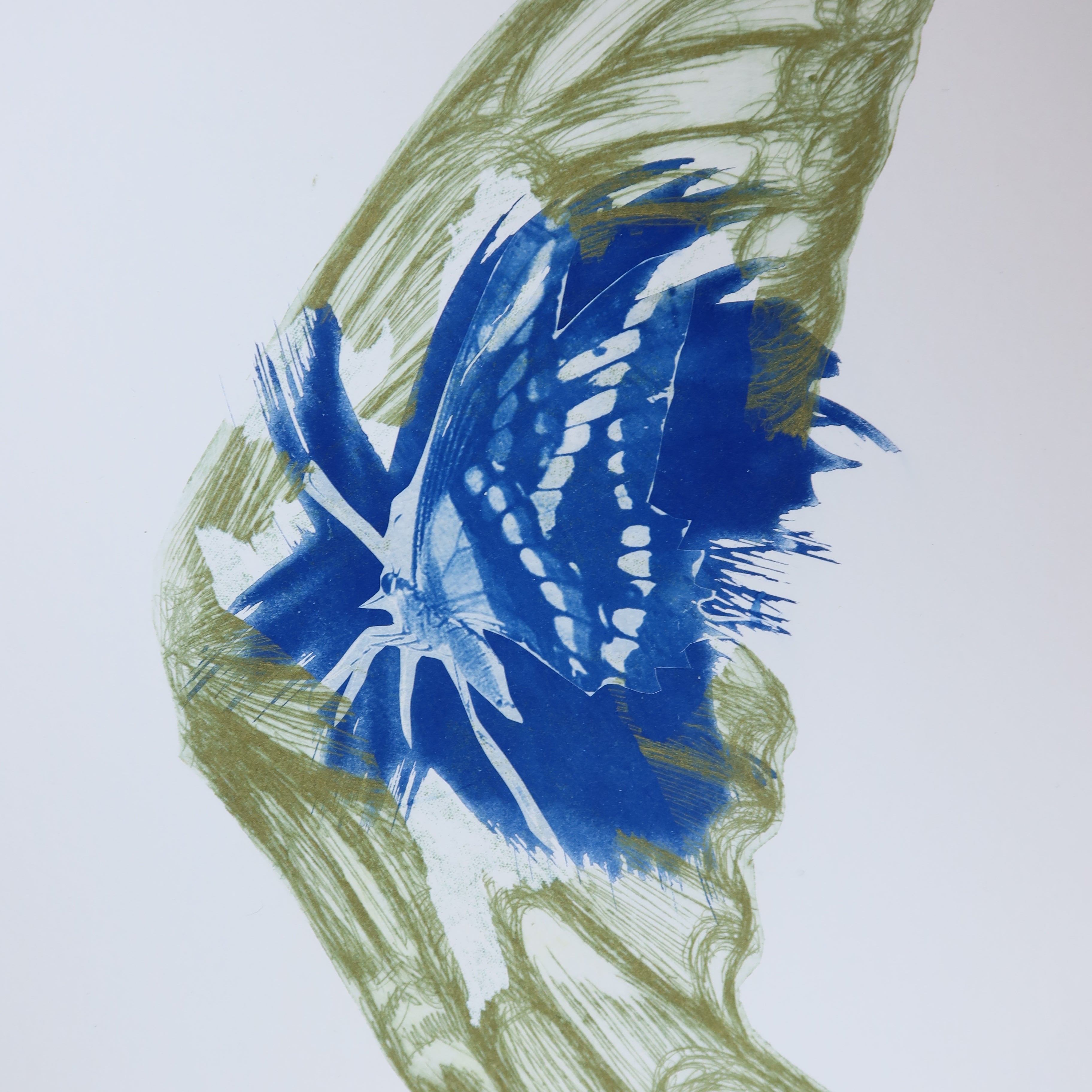 Œuvre originale de la collection Memoria, cyanotype et gravure sur papier, motif de papillon.