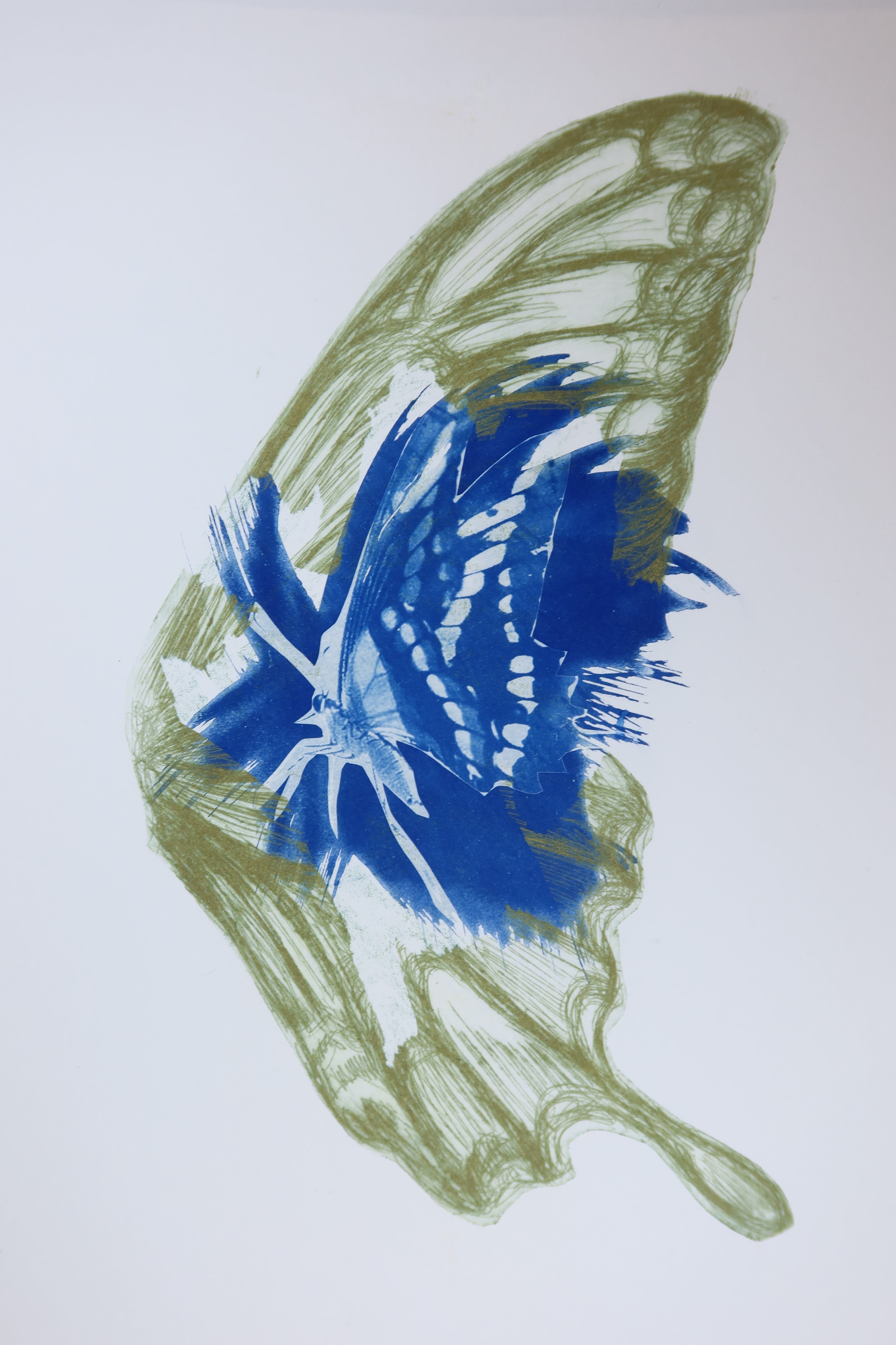 Œuvre originale de la collection Memoria, cyanotype et gravure sur papier, motif de papillon.