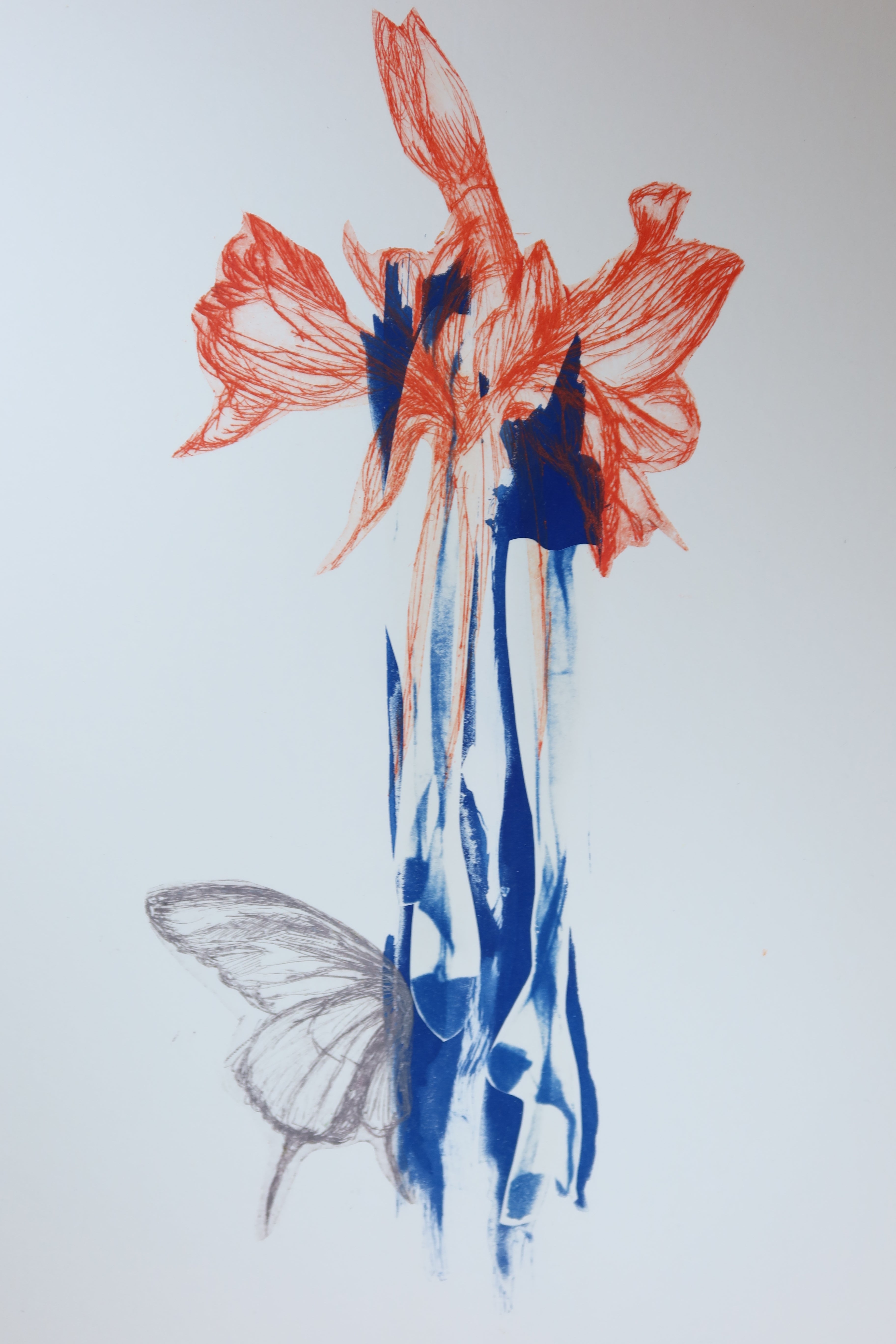 Œuvre originale de la collection Memoria, cyanotype et gravure sur papier, motif de papillon et de fleurs rouges.