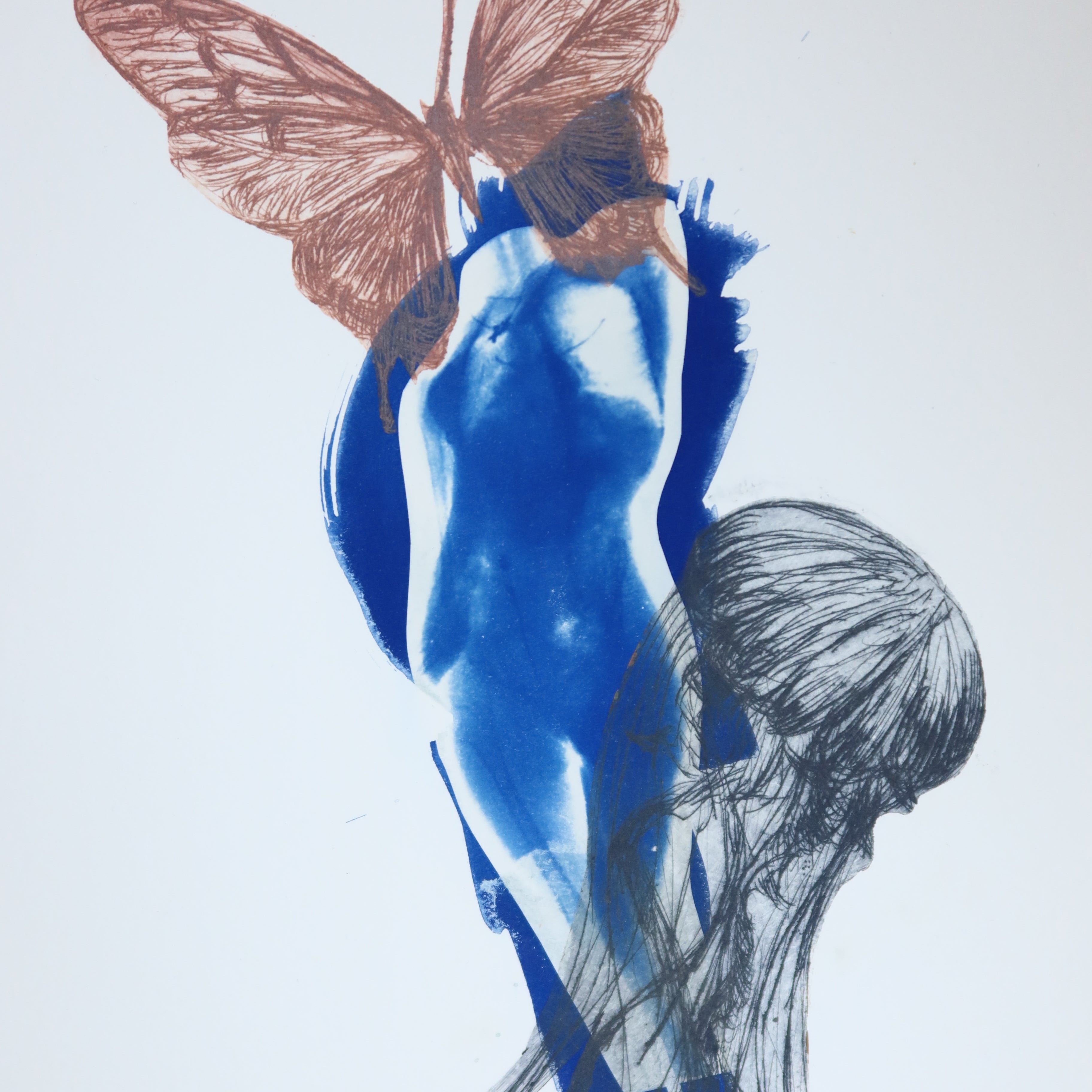 Œuvre originale de la collection Memoria, cyanotype et gravure sur papier, motif de papillon, de méduses et du corps.