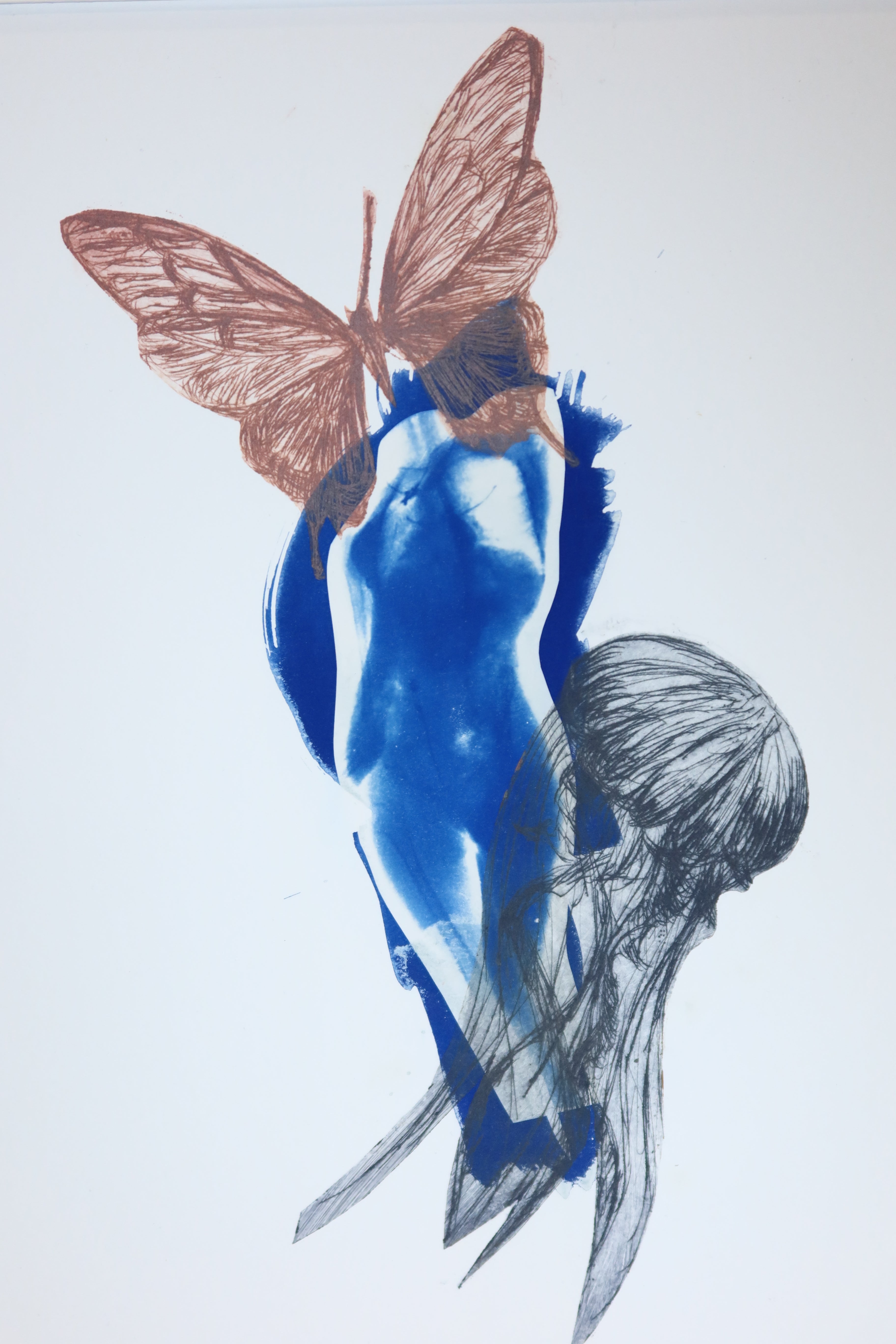 Œuvre originale de la collection Memoria, cyanotype et gravure sur papier, motif de papillon, de méduses et du corps.