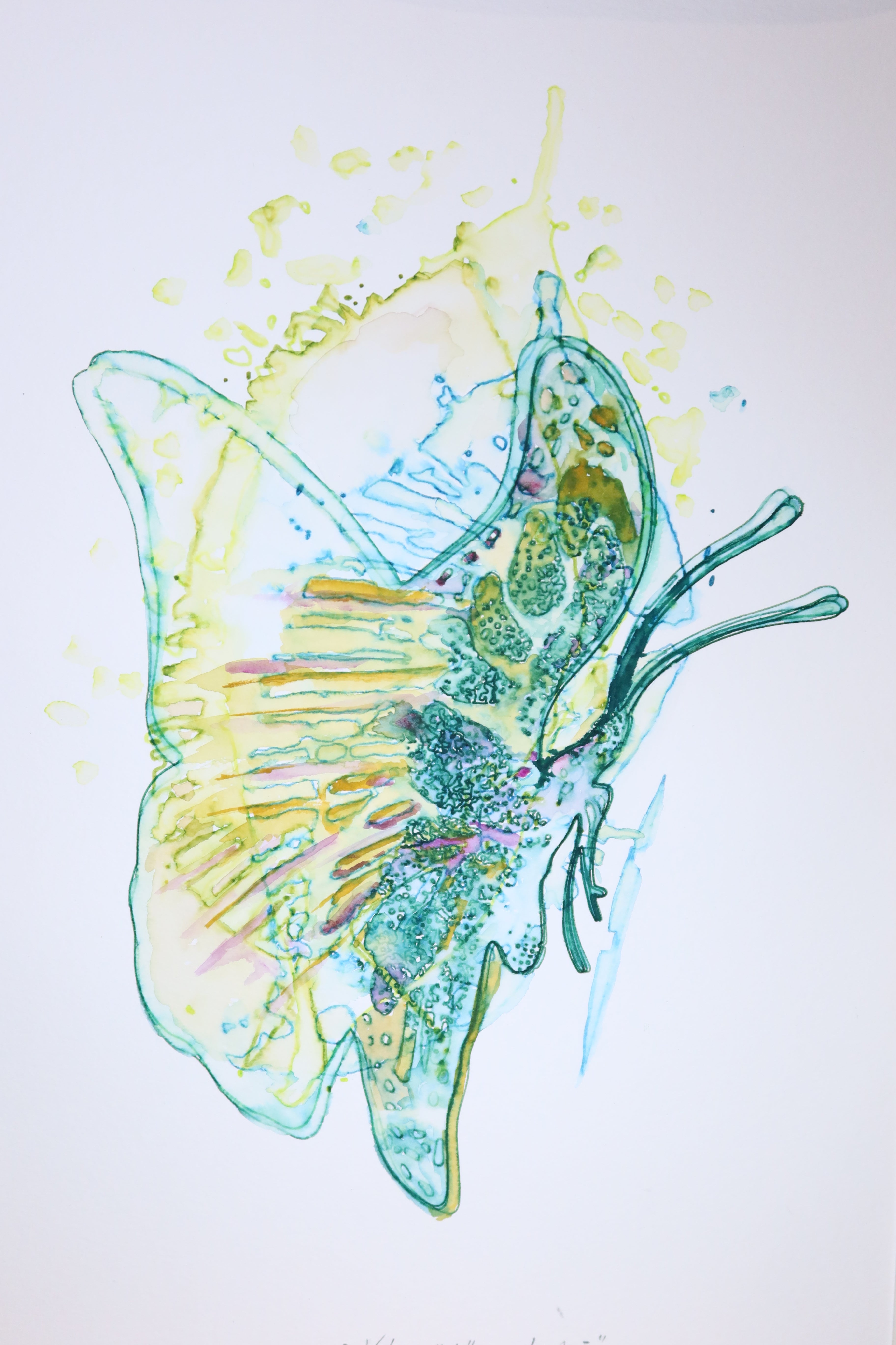 Œuvre originale de la collection Métamorphe, aquarelle sur papier, motif de papillon détaillé, au rendu délicat, dans des tons bleu-vert.