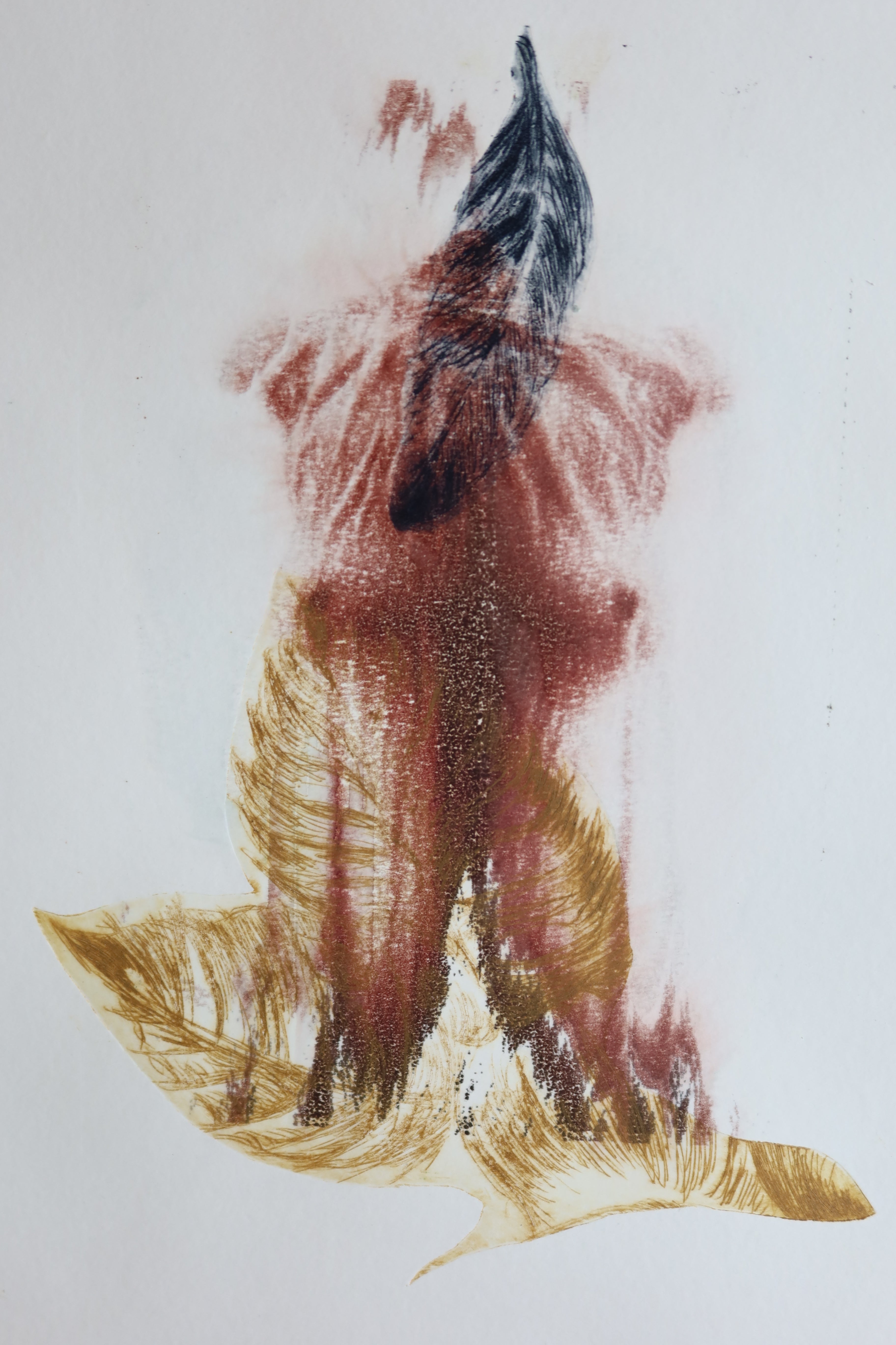 Œuvre de la collection Spiritus, gravure et image imprimée avec silhouette, feuilles et plume.