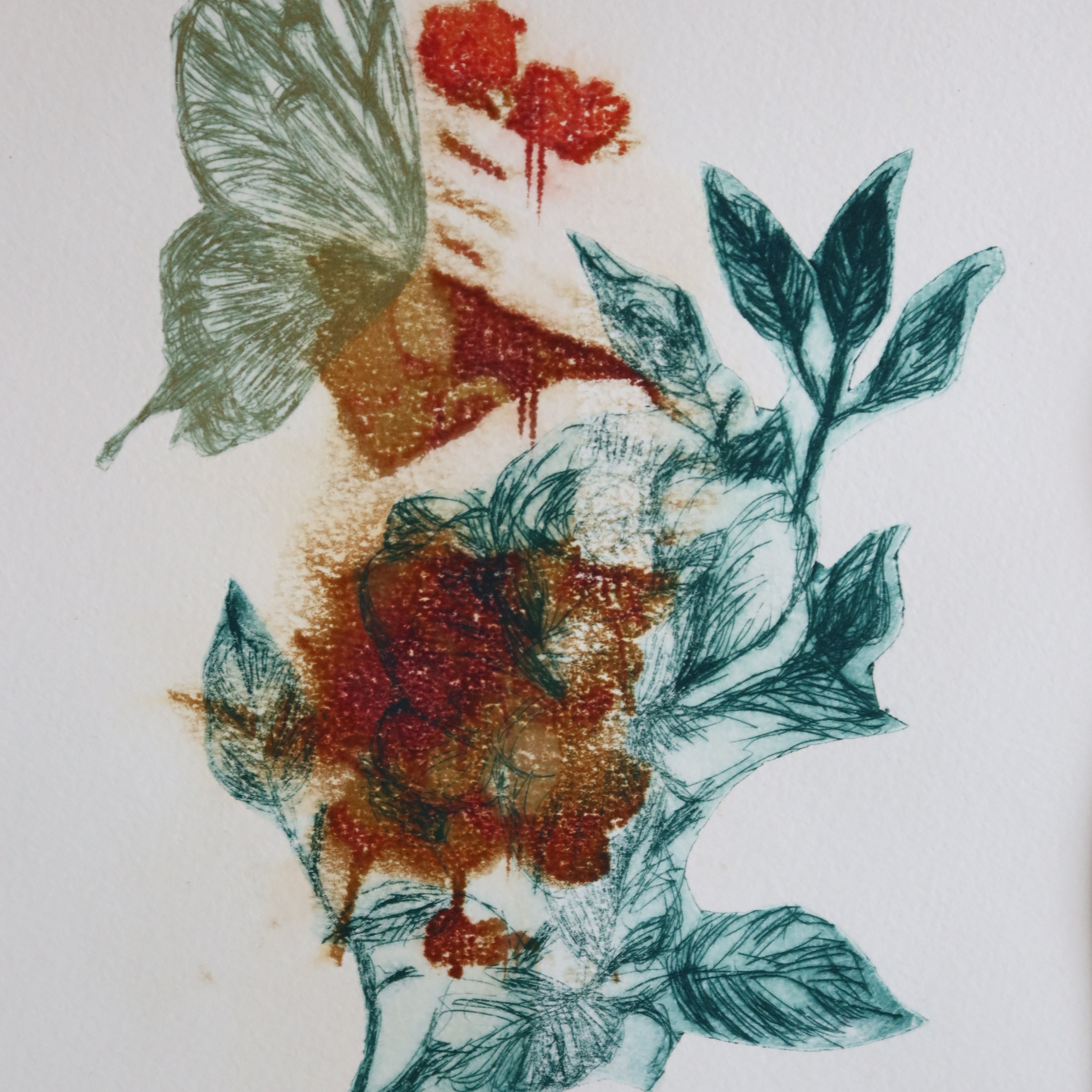 Œuvre de la collection Spiritus, gravure et image imprimée représentant un papillon et des feuilles dans une composition botanique.