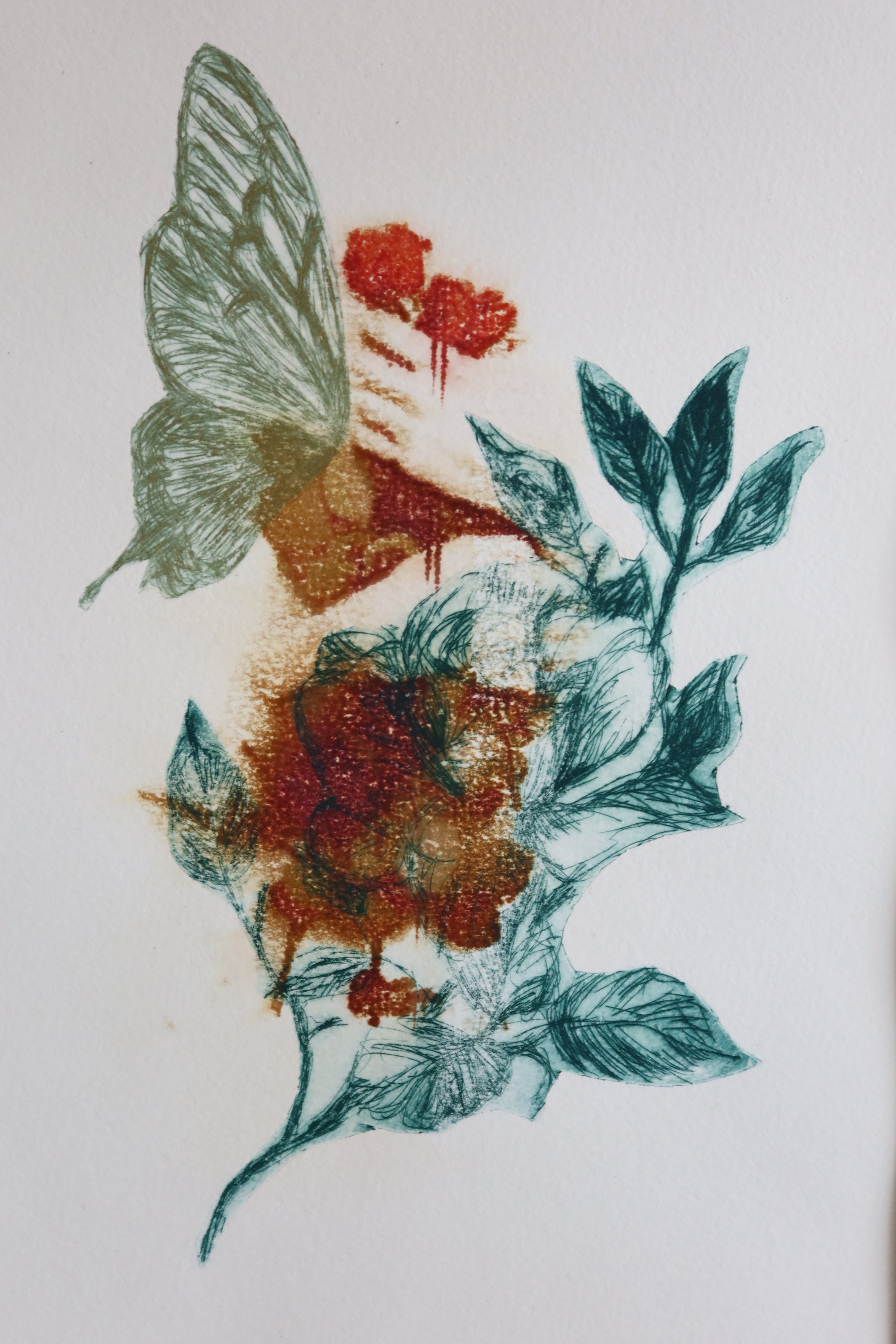 Œuvre de la collection Spiritus, gravure et image imprimée représentant un papillon et des feuilles dans une composition botanique.
