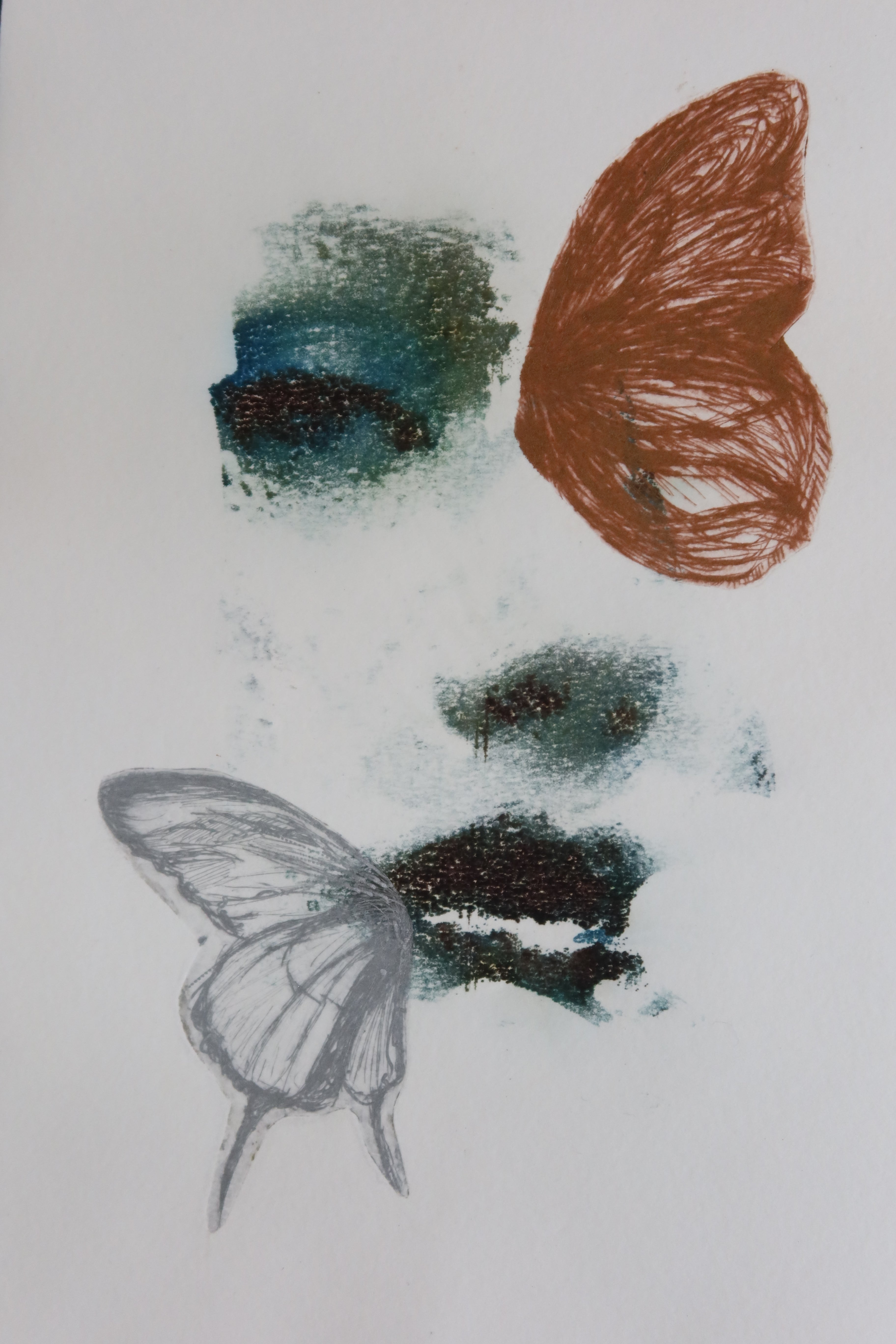 Œuvre de la collection Spiritus, gravure et image imprimée avec visage de femme et papillons.