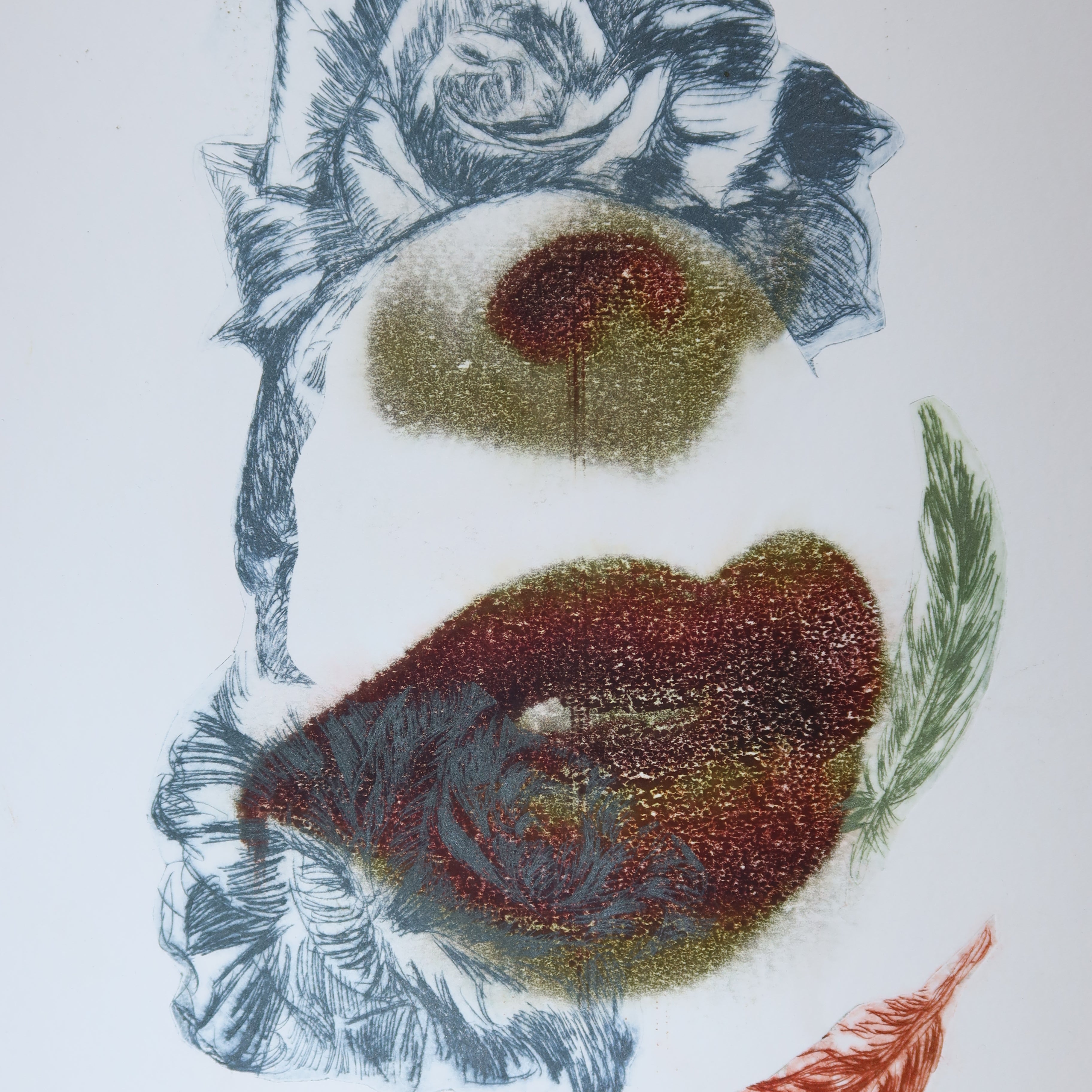 Œuvre originale de la collection Spiritus, gravure image imprimée représentant une bouche accompagnée de roses et de plumes dans une composition.