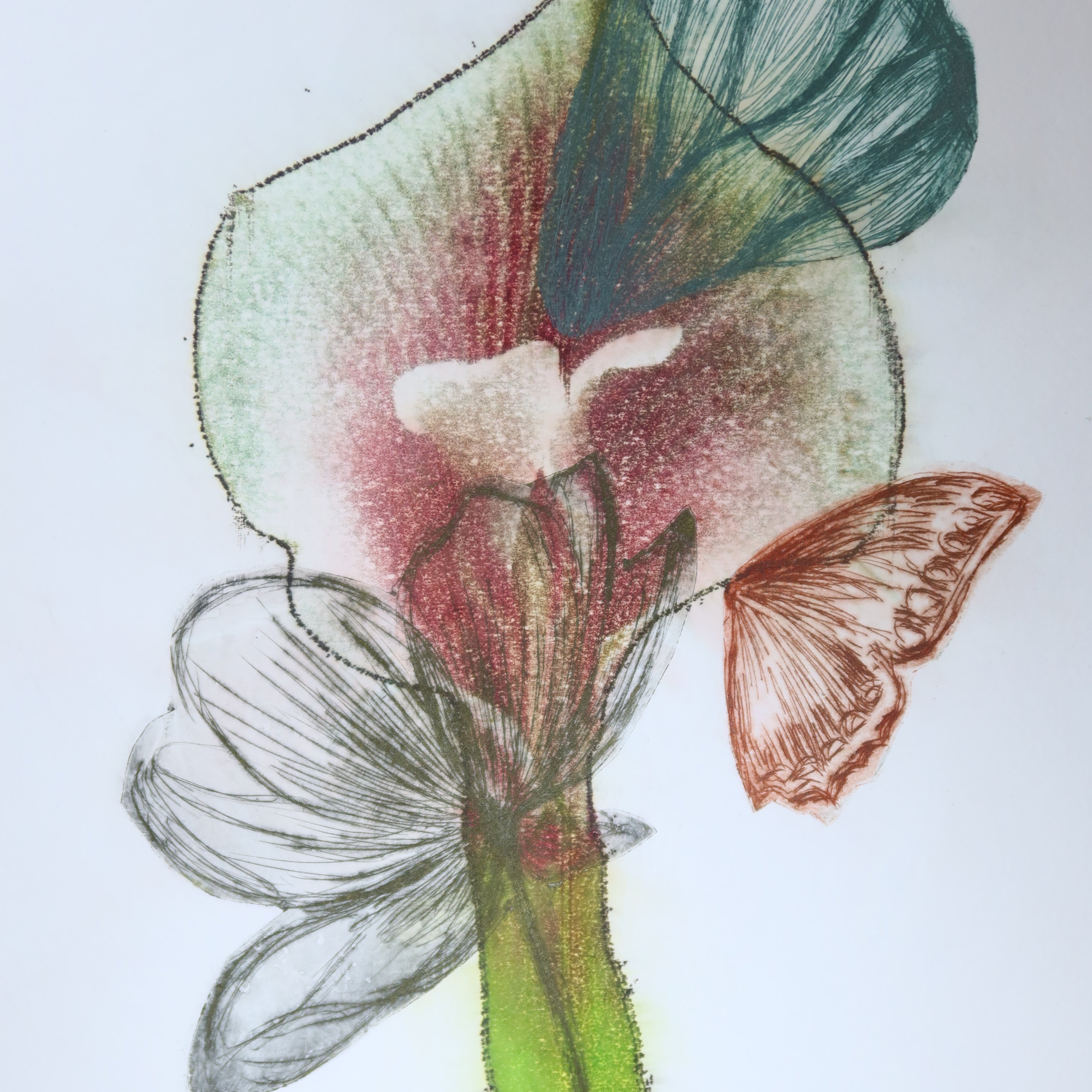 Œuvre originale de la collection Spiritus, gravure image imprimée représentant une composition botanique avec fleur, tige et papillons.