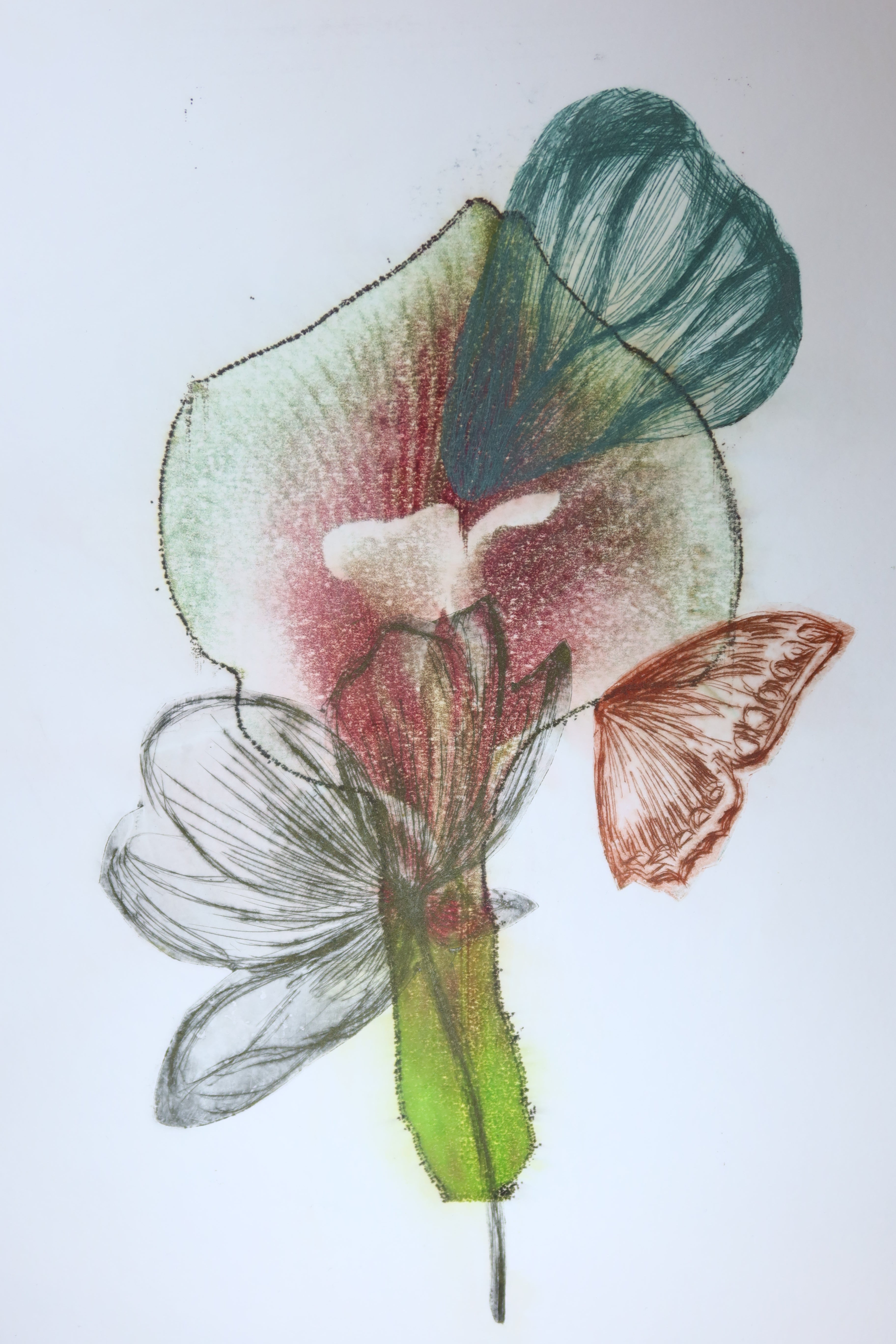 Œuvre originale de la collection Spiritus, gravure image imprimée représentant une composition botanique avec fleur, tige et papillons.