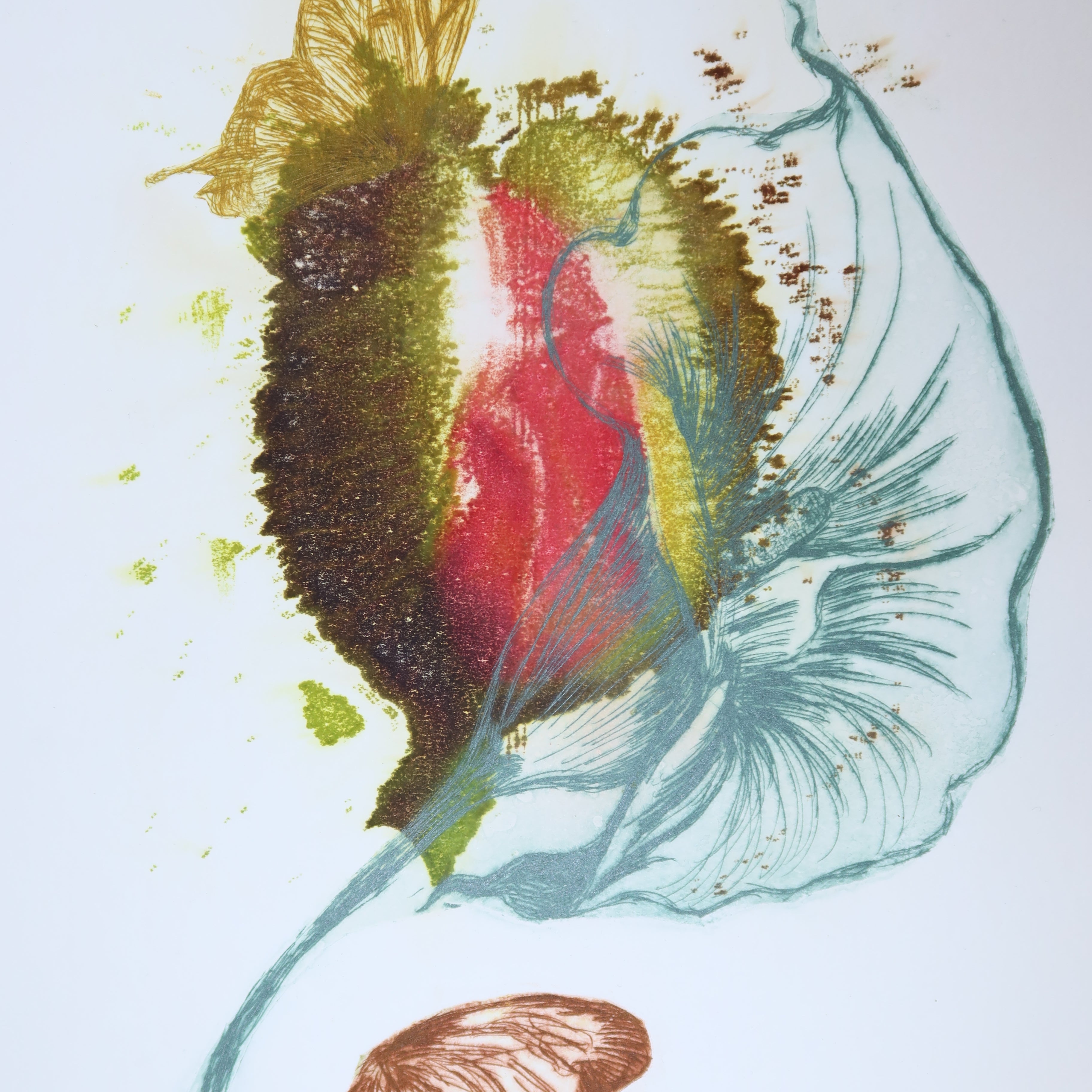 Œuvre originale de la collection Spiritus, gravure image imprimée représentant une composition botanique avec une plante carnivore et des papillons en mouvement.