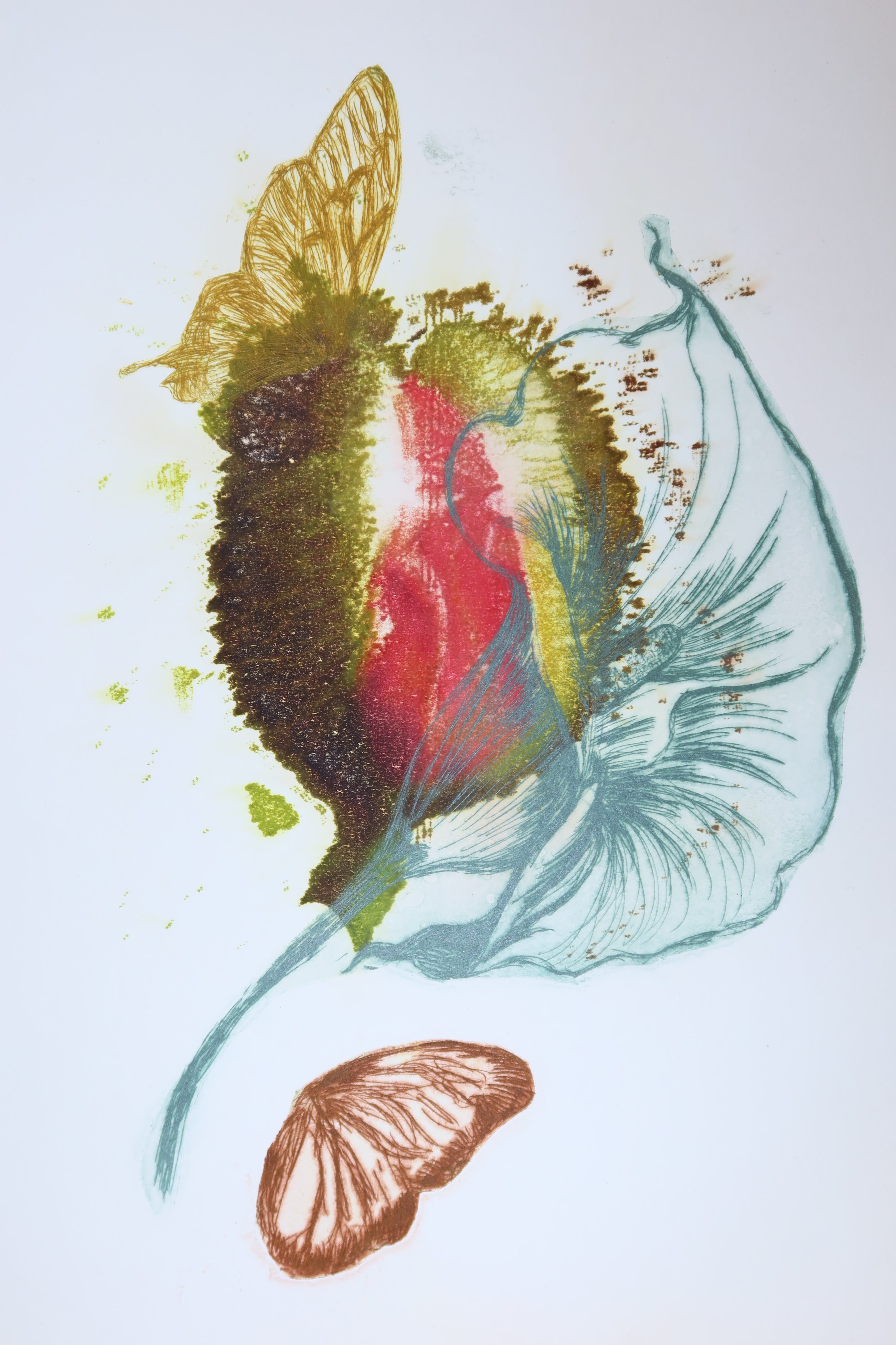 Œuvre originale de la collection Spiritus, gravure image imprimée représentant une composition botanique avec une plante carnivore et des papillons en mouvement.
