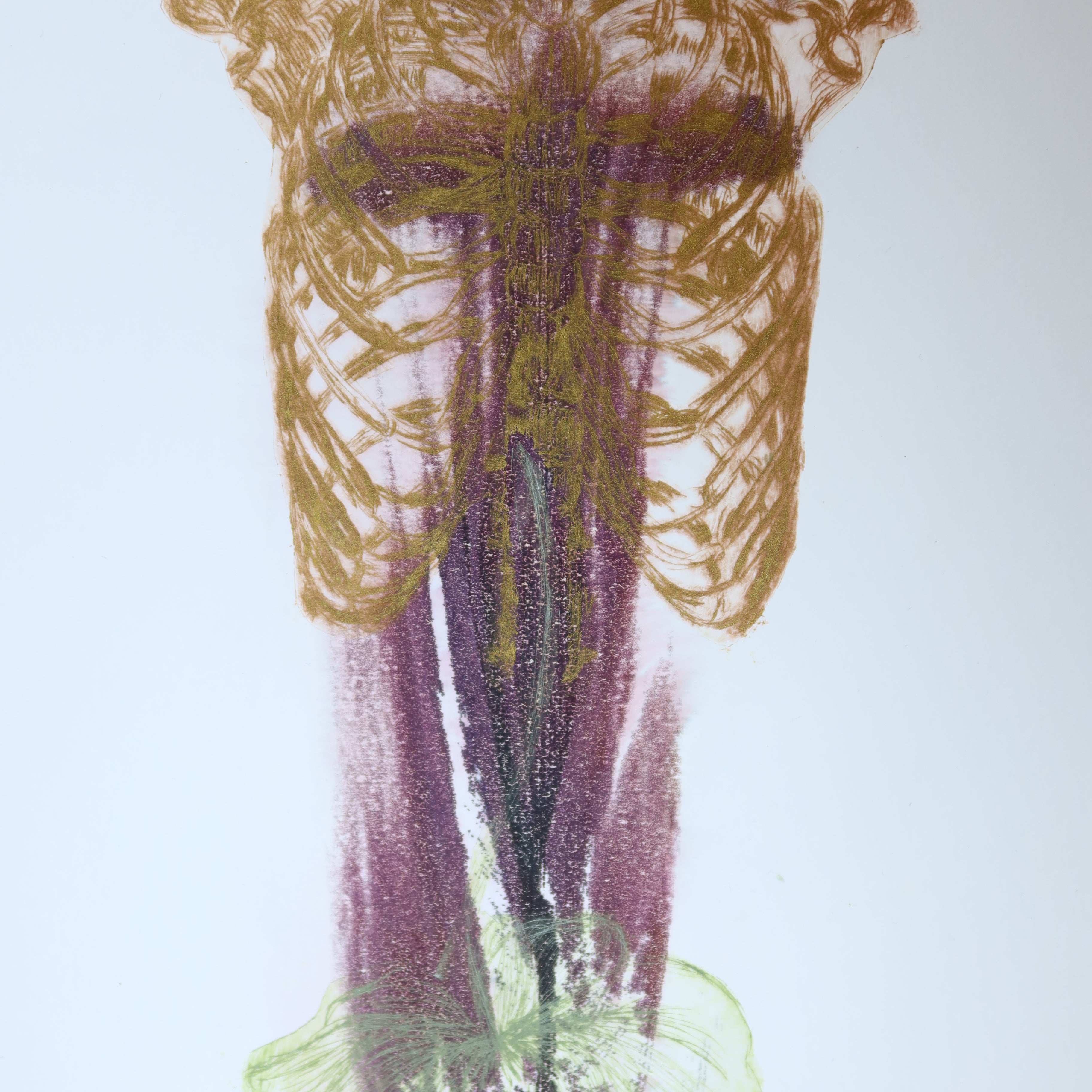 Œuvre originale de la collection Spiritus, gravure image imprimée représentant un corps sous forme de buste anatomique intégré à une composition verticale.