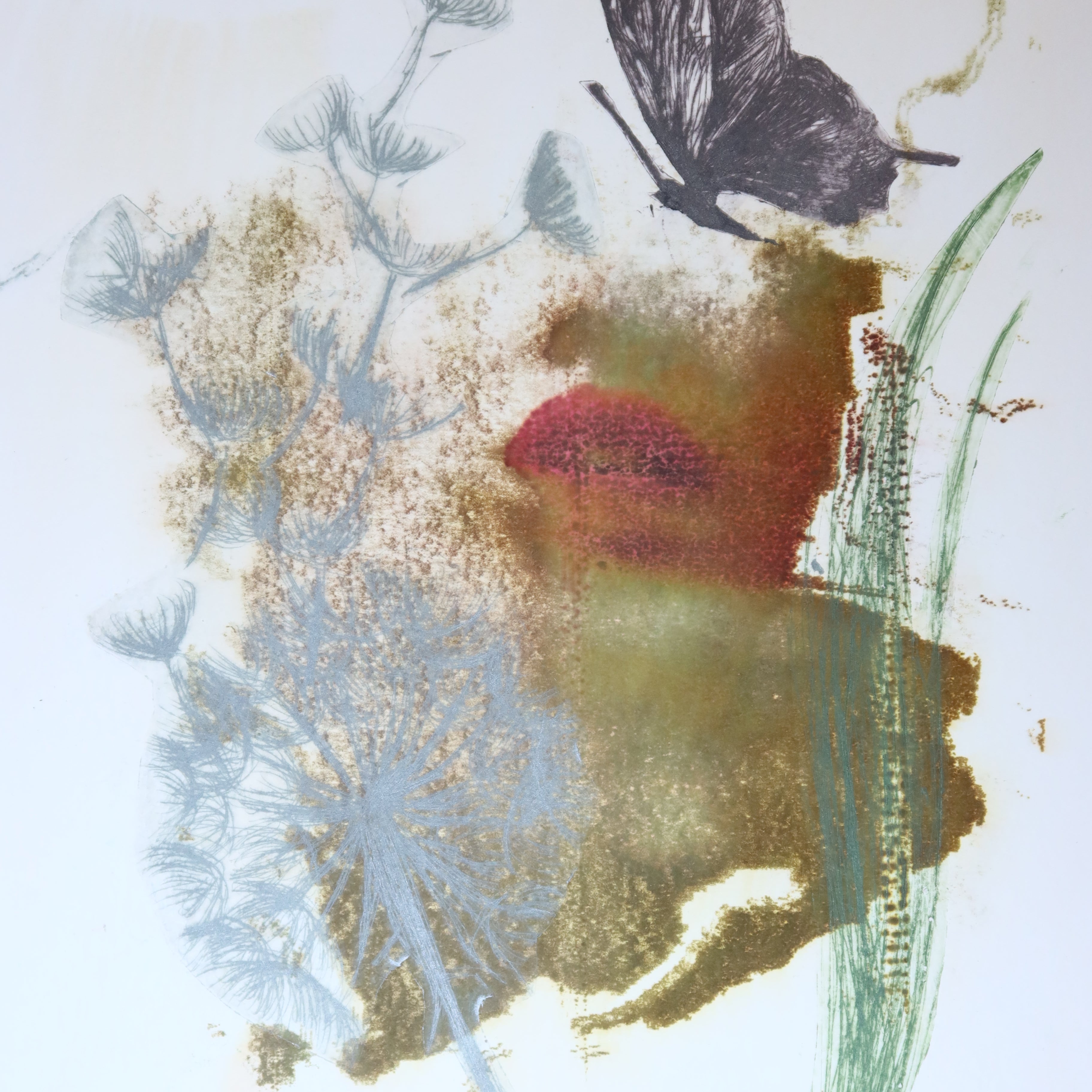 Œuvre originale de la collection Spiritus, gravure image imprimée représentant un fragment de visage intégré à une composition avec pissenlit et papillon.