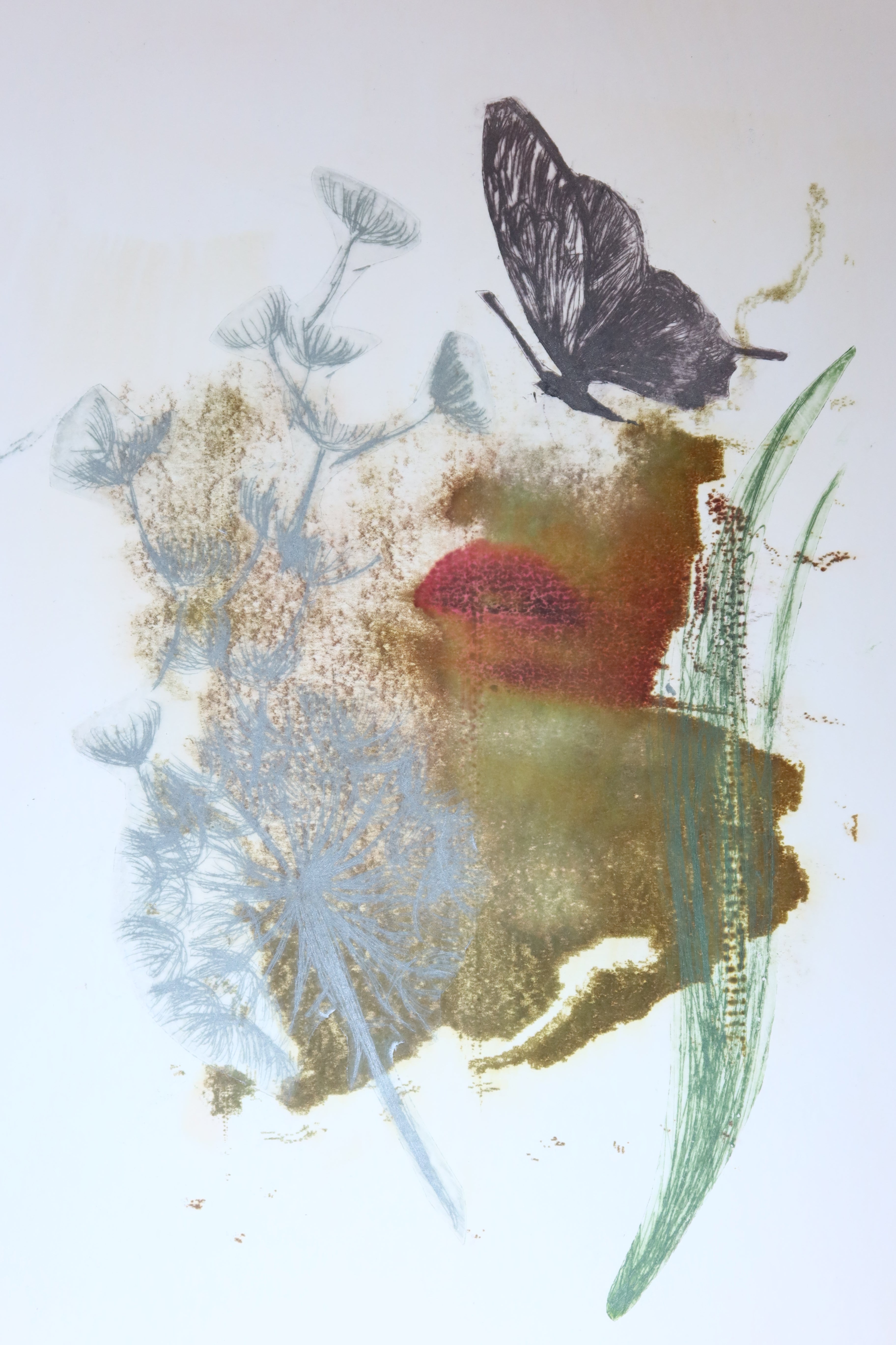 Œuvre originale de la collection Spiritus, gravure image imprimée représentant un fragment de visage intégré à une composition avec pissenlit et papillon.