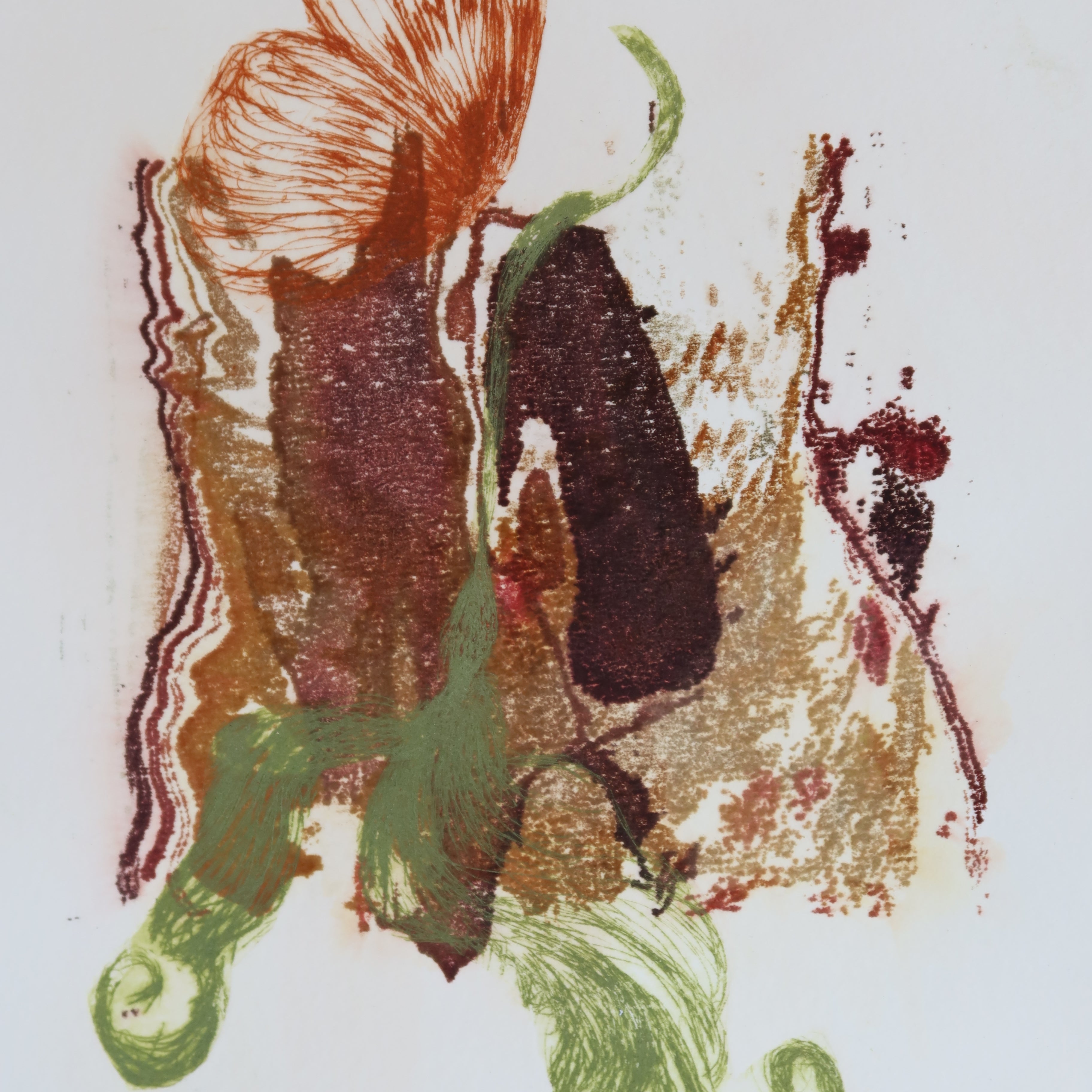 Œuvre de la collection Spiritus, gravure image imprimée avec papillon, éléments botaniques et feuille, couleurs vert et brun, superposition partielle.