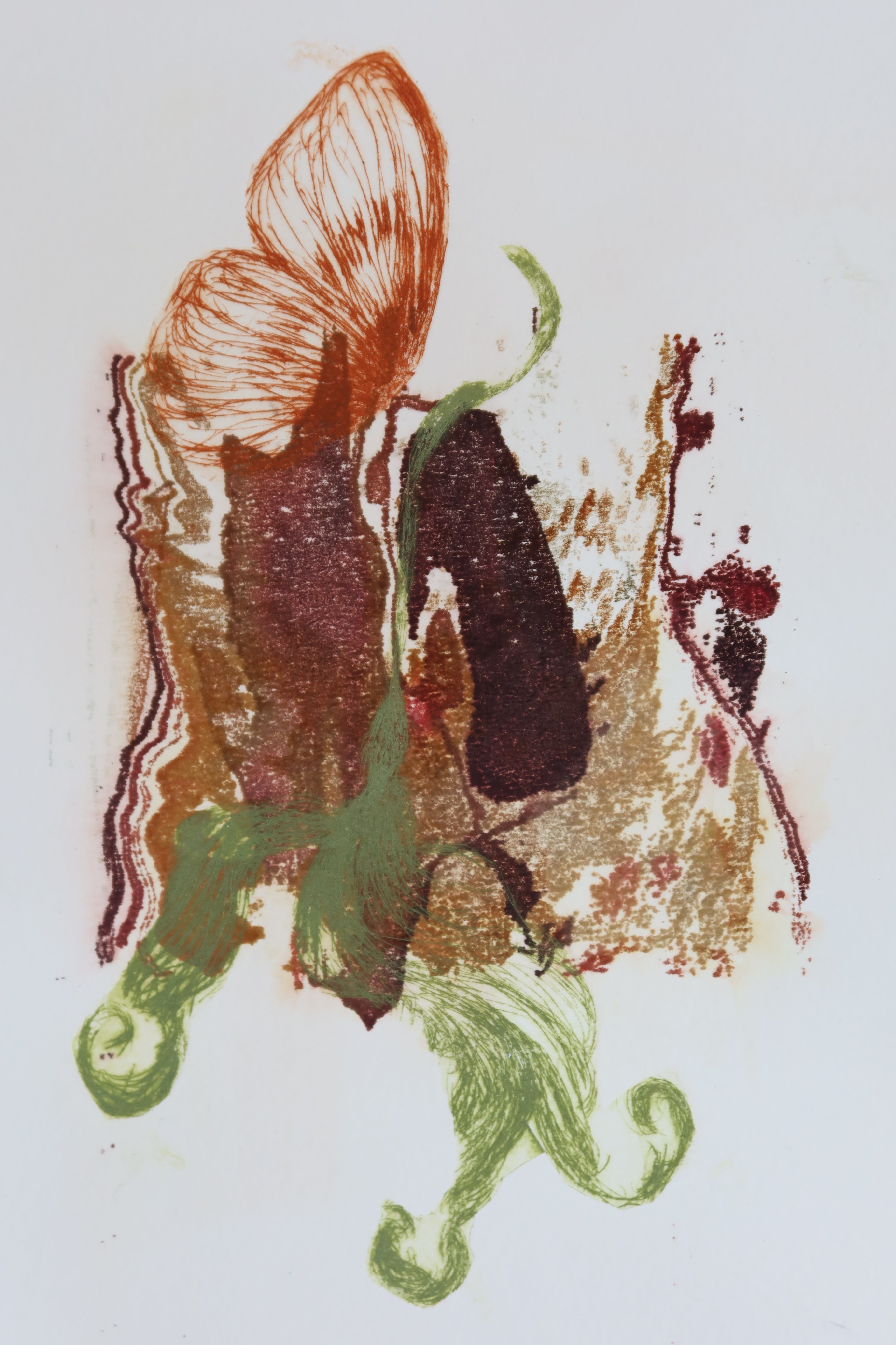 Œuvre de la collection Spiritus, gravure image imprimée avec papillon, éléments botaniques et feuille, couleurs vert et brun, superposition partielle.