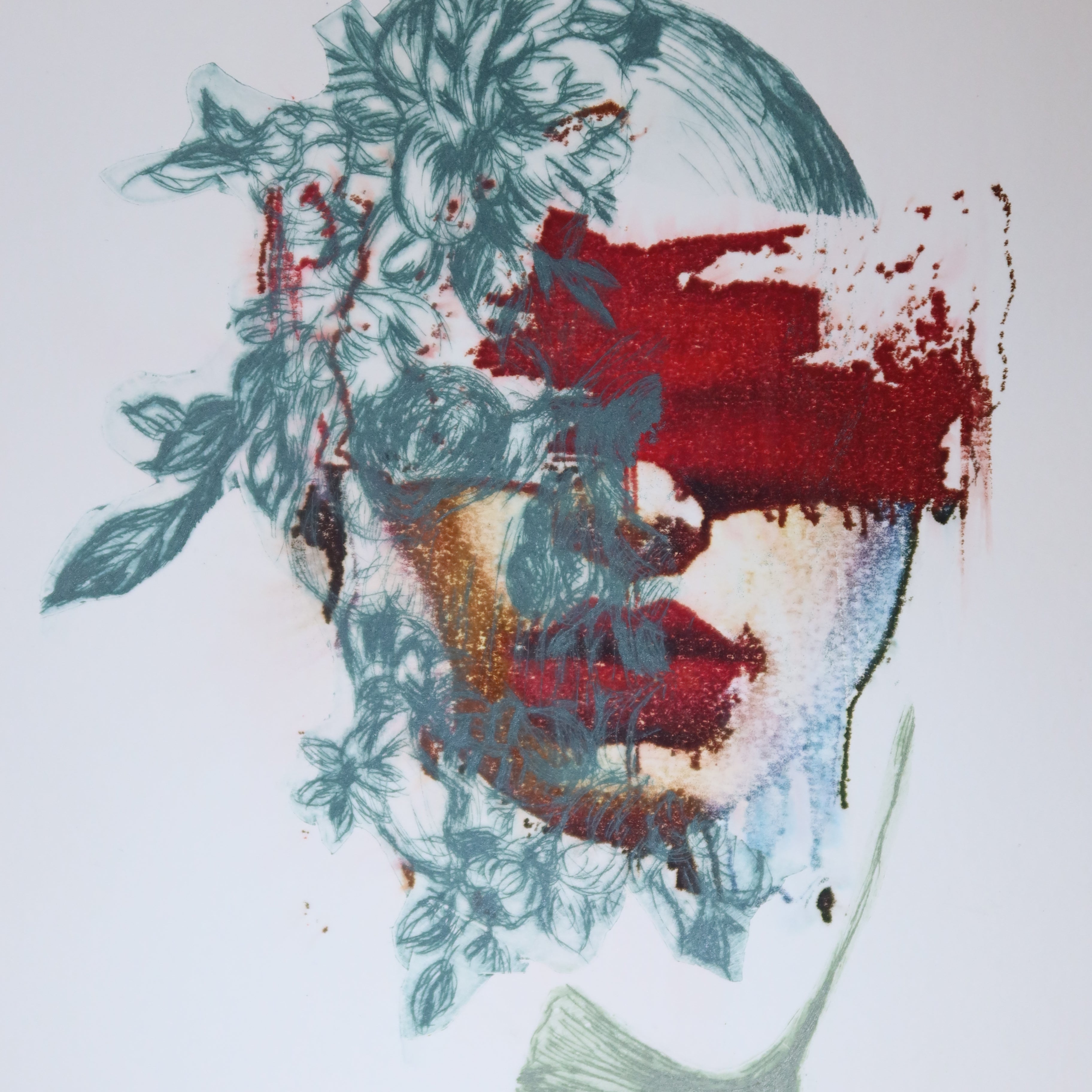 Œuvre originale de la collection Spiritus, gravure image imprimée représentant un visage de femme avec feuillage superposé, éléments de nature et lèvres rouges.
