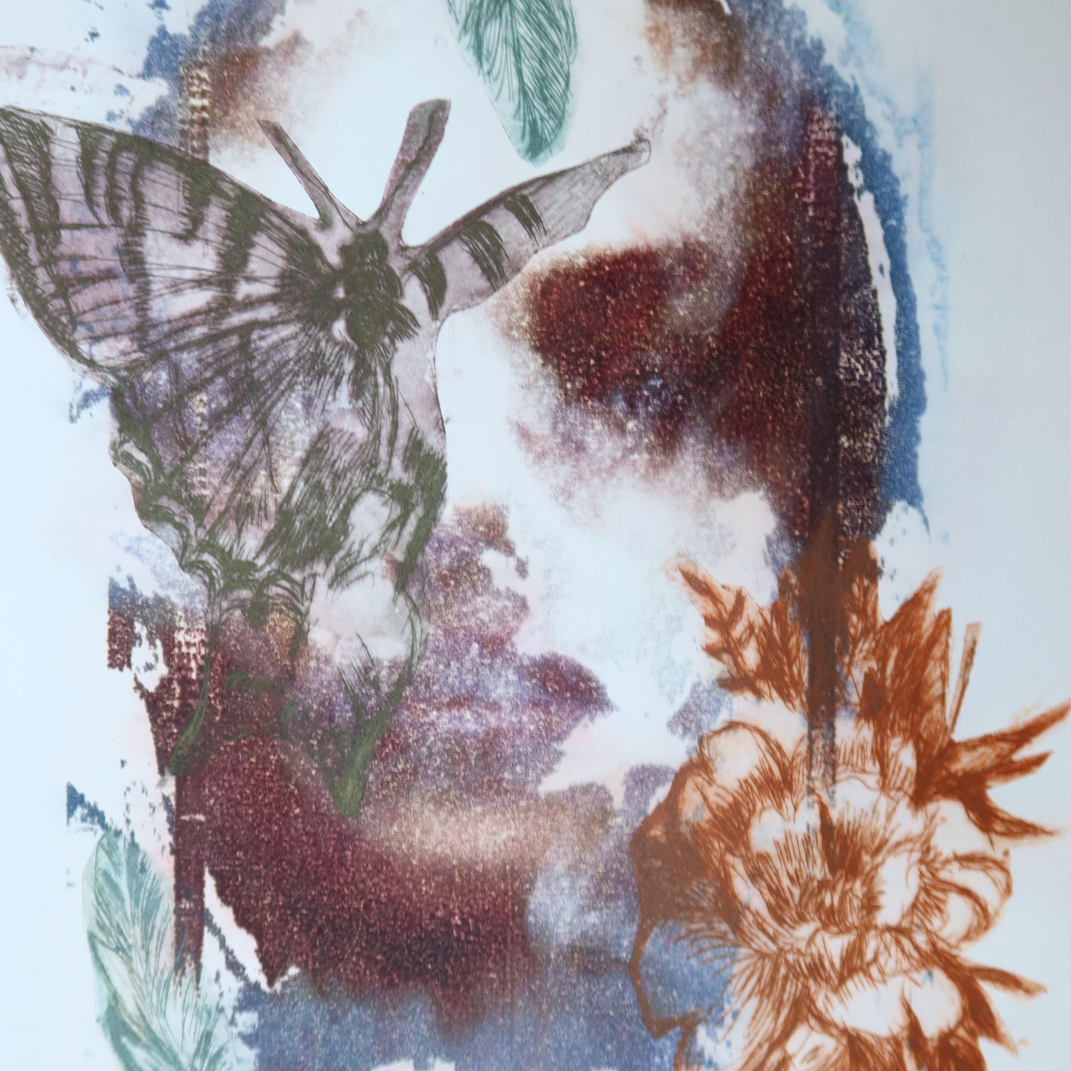 Œuvre originale de la collection Spiritus, gravure image imprimée représentant un visage avec un papillon, des fleurs et des feuilles, en superposition d’éléments botaniques.