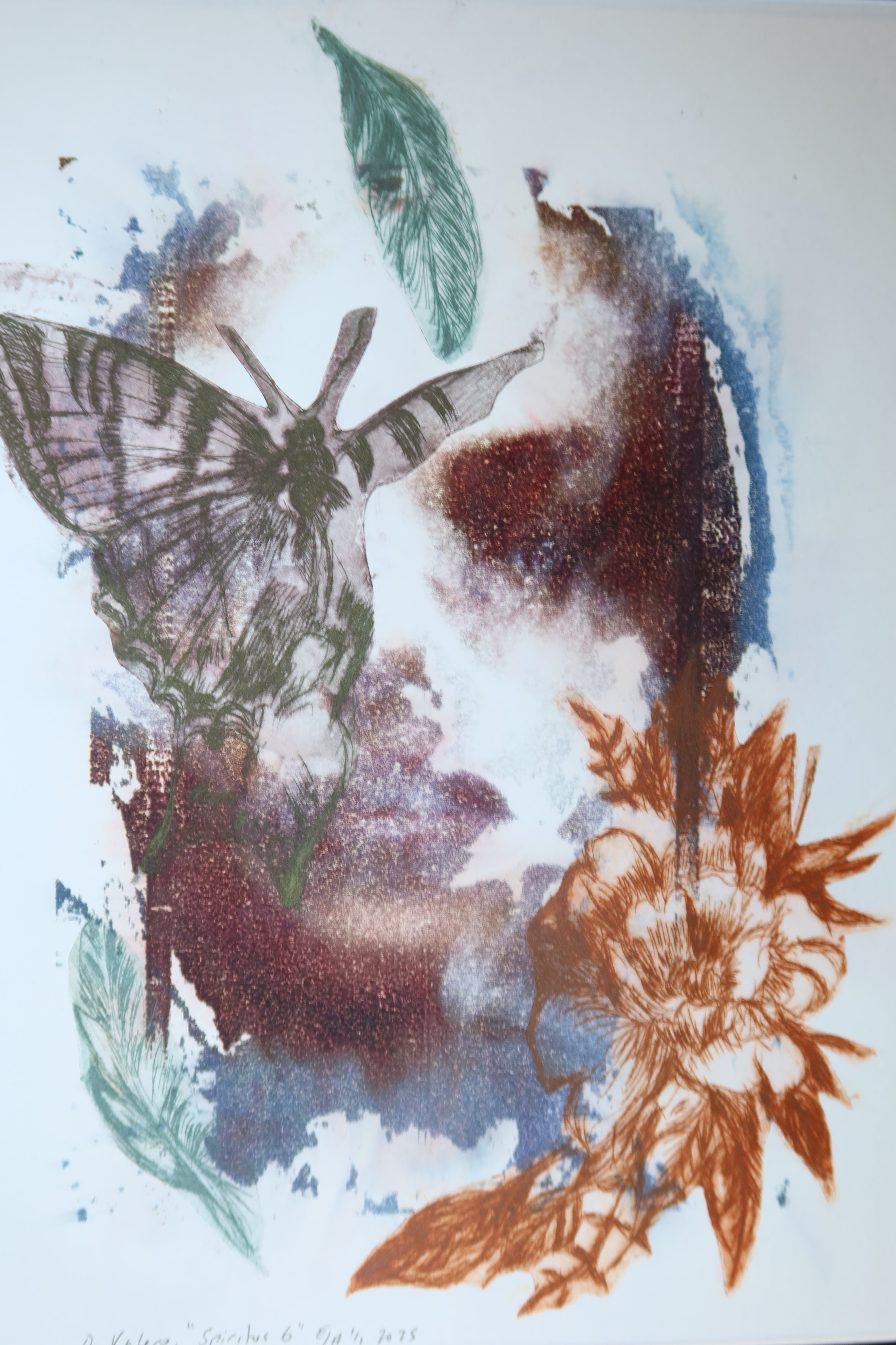 Œuvre originale de la collection Spiritus, gravure image imprimée représentant un visage avec un papillon, des fleurs et des feuilles, en superposition d’éléments botaniques.