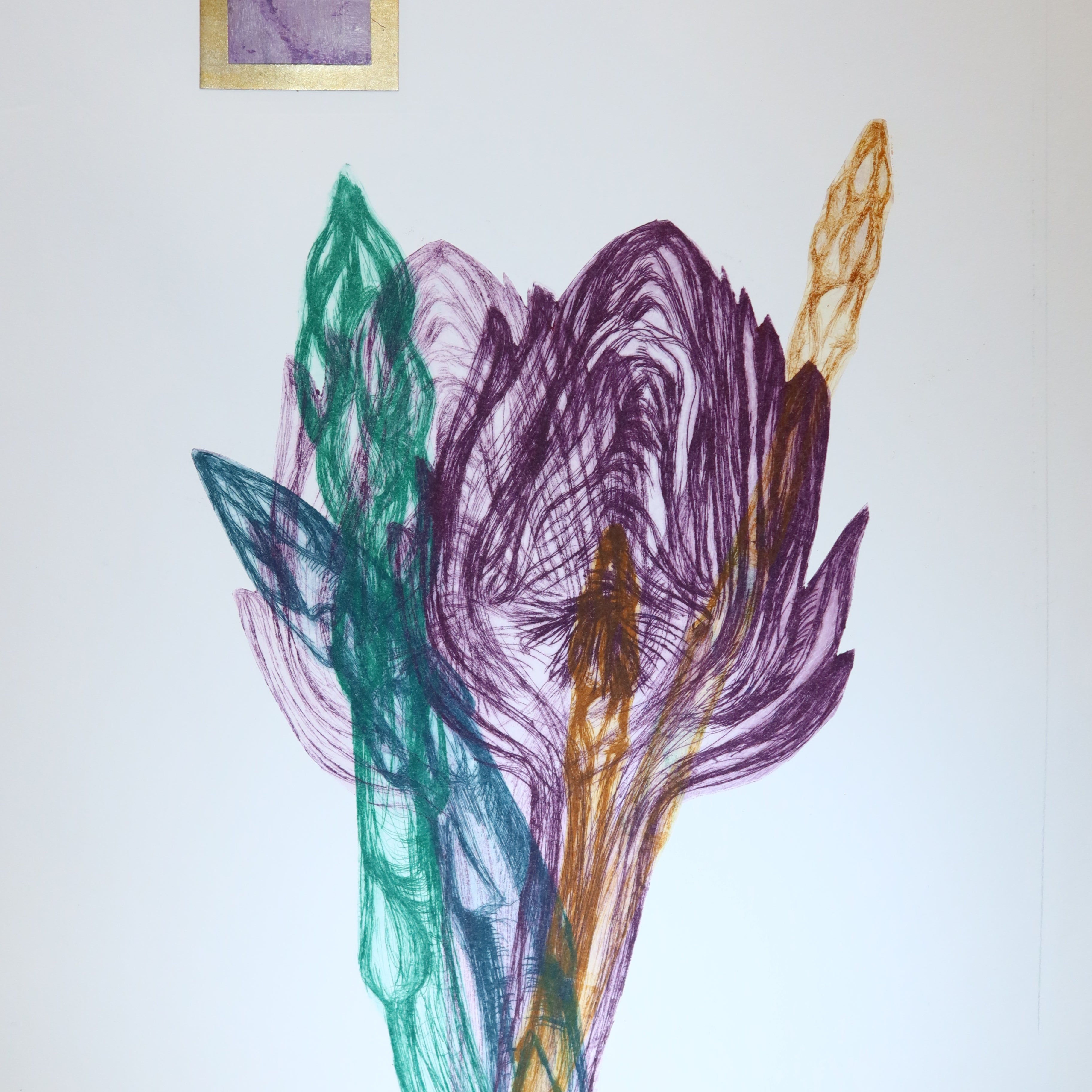 Œuvre originale de la collection Vanitas, gravure sur papier, forme organique composée de traits fins, avec un visage présent dans un carré doré.