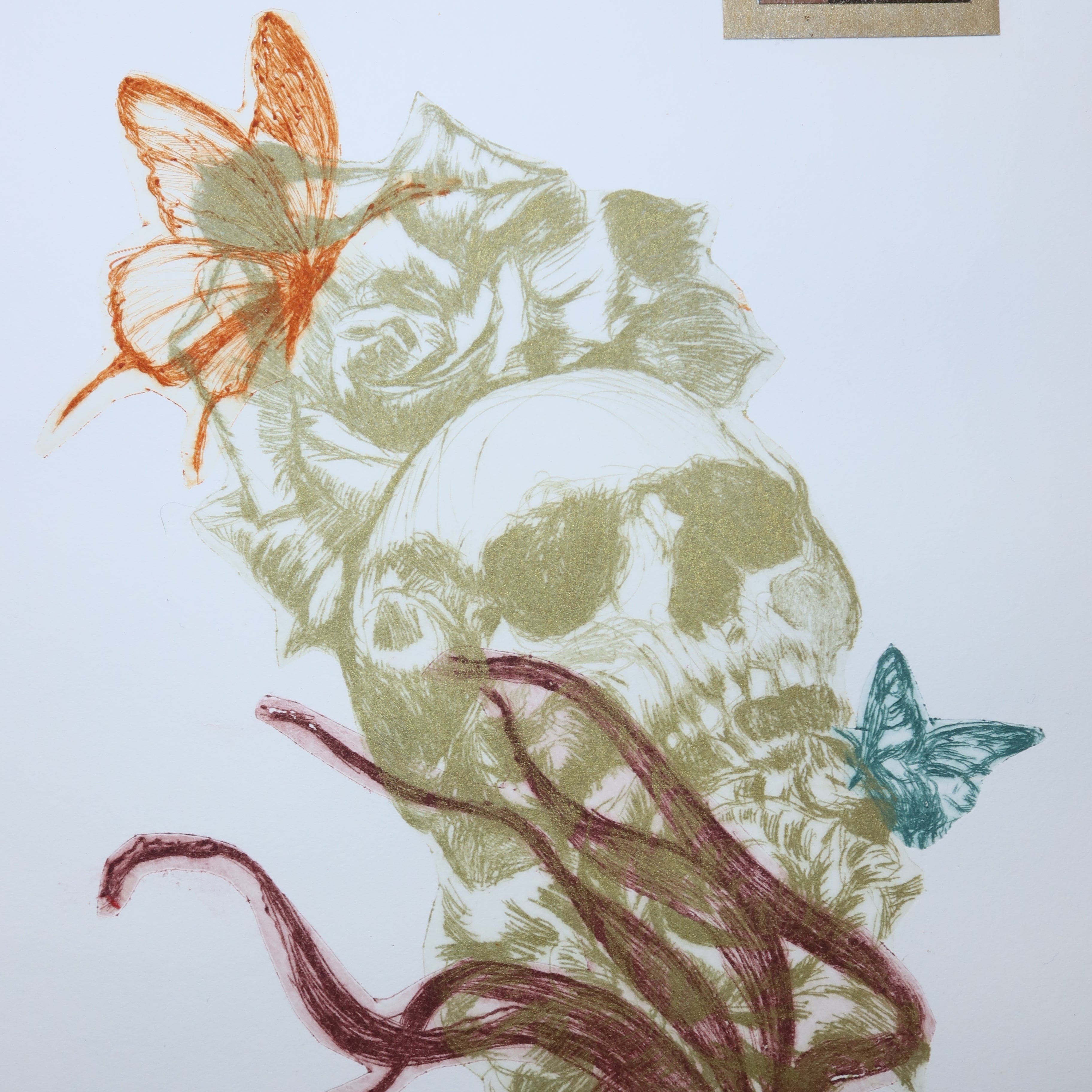 Œuvre originale de la collection Vanitas, gravure sur papier, crâne associé à des fleurs et un papillon, composition mouvementée.