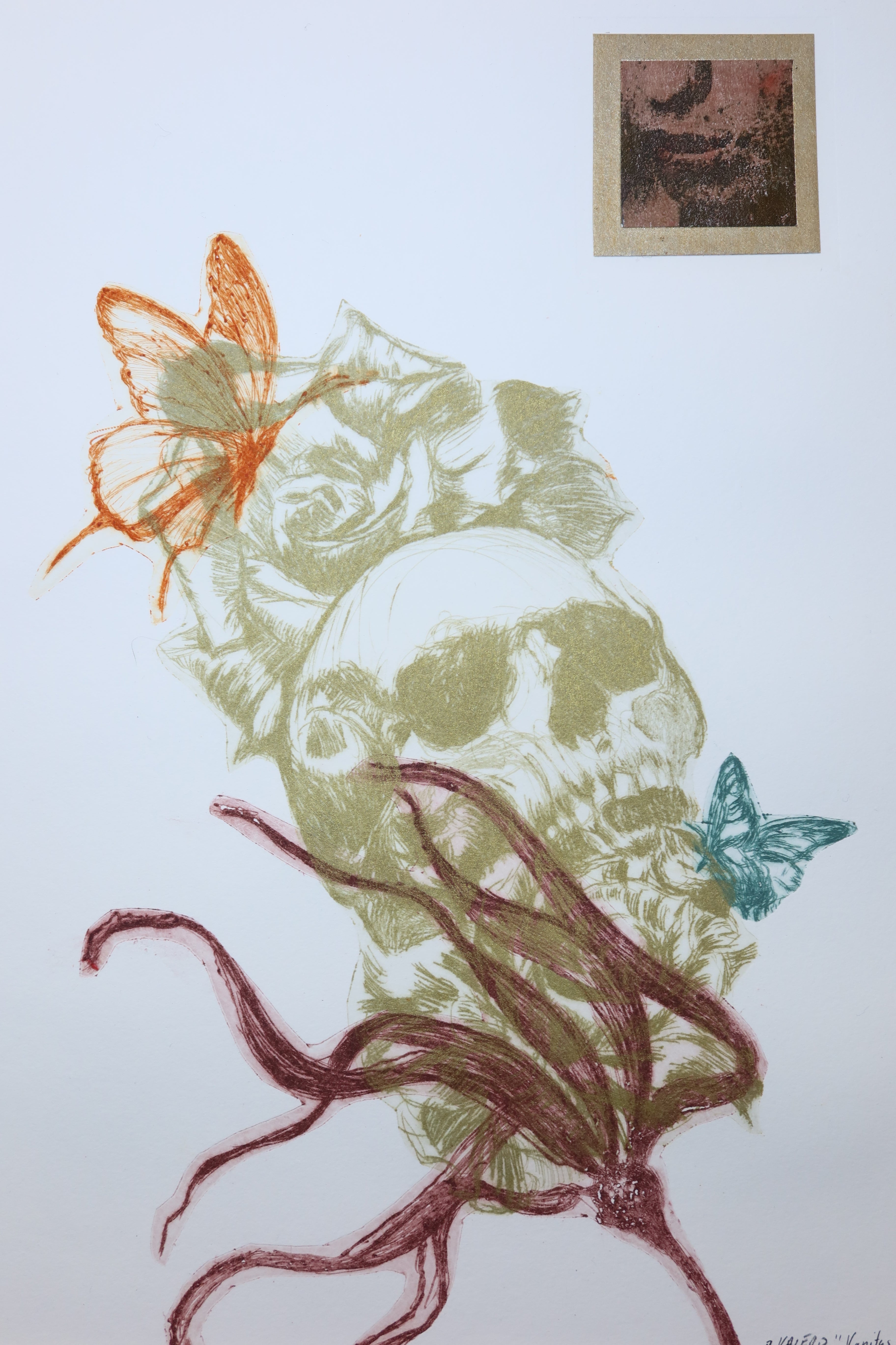 Œuvre originale de la collection Vanitas, gravure sur papier, crâne associé à des fleurs et un papillon, composition mouvementée.