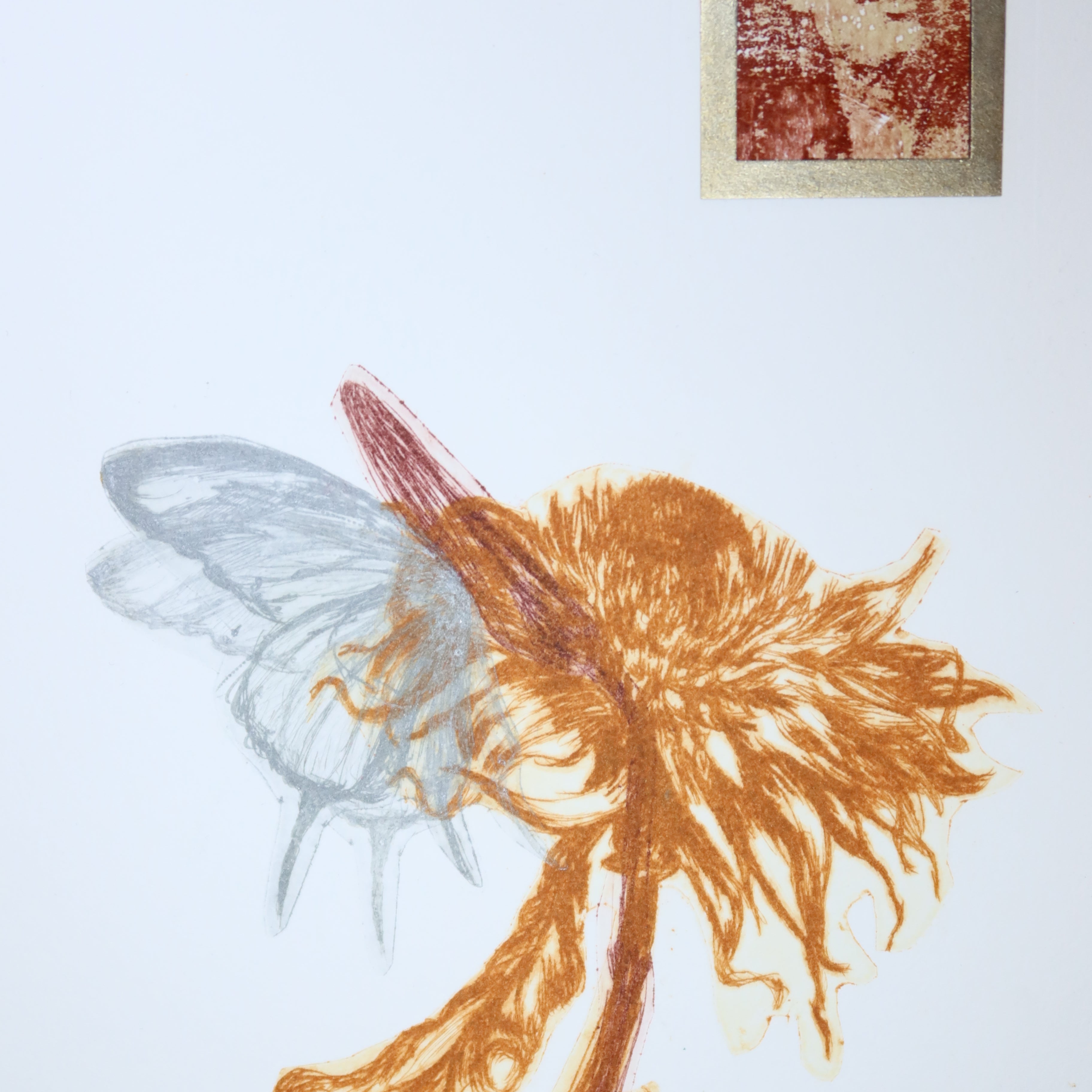 Œuvre originale de la collection Vanitas, gravure sur papier, fleur aux couleurs naturelles associée à un papillon, pétales en mouvement.