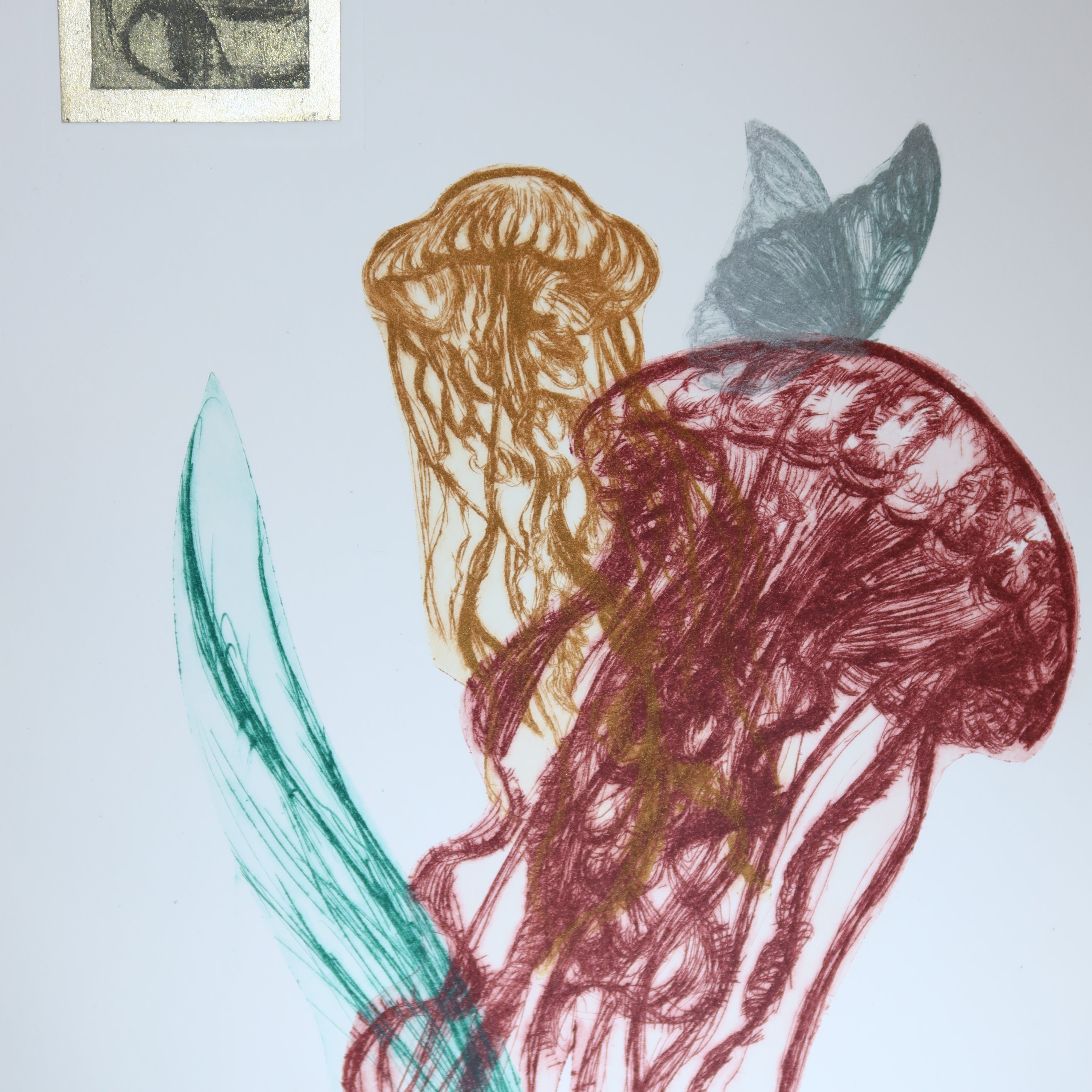 Œuvre originale de la collection Vanitas, gravure sur papier, composition avec méduses et papillon.