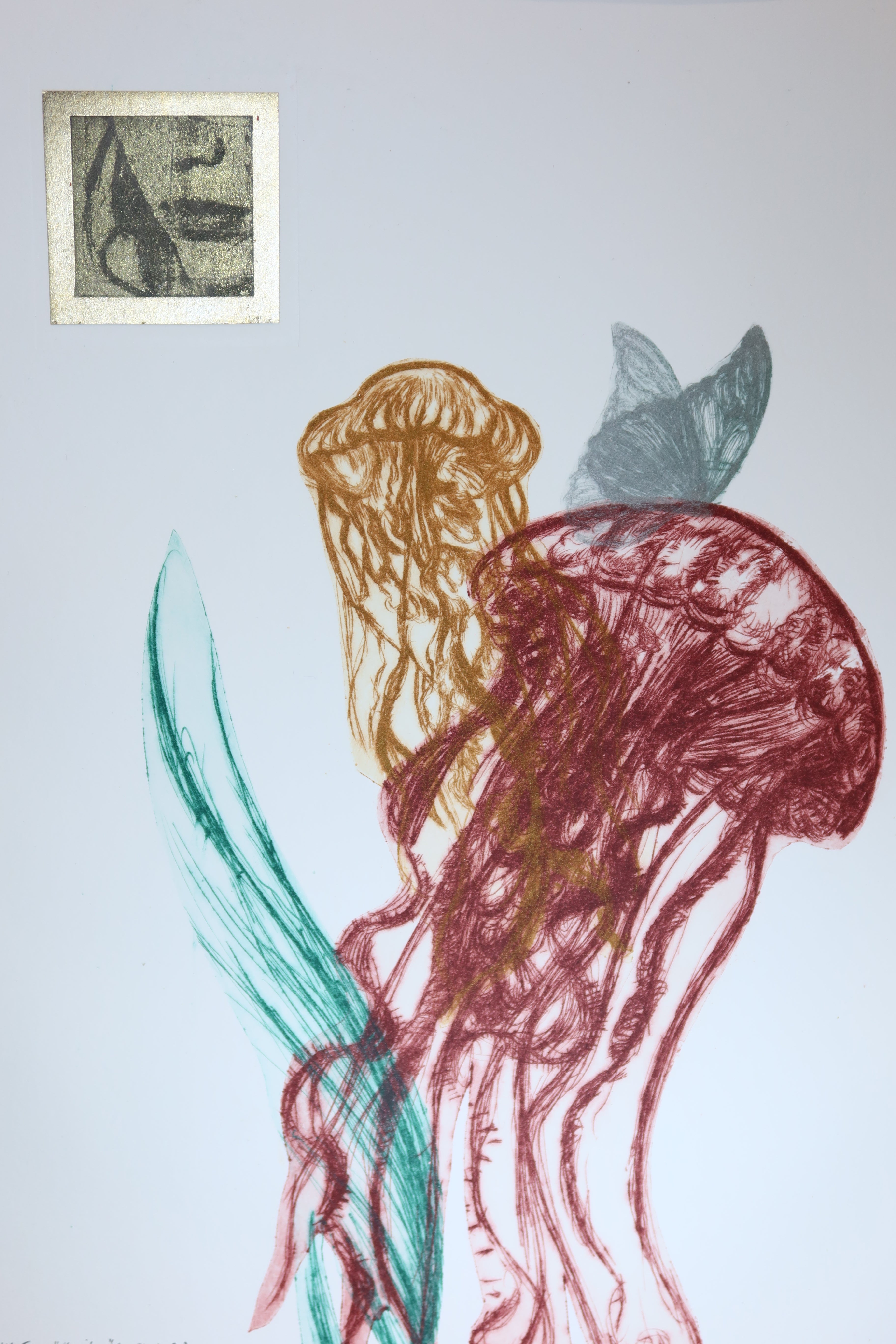 Œuvre originale de la collection Vanitas, gravure sur papier, composition avec méduses et papillon.