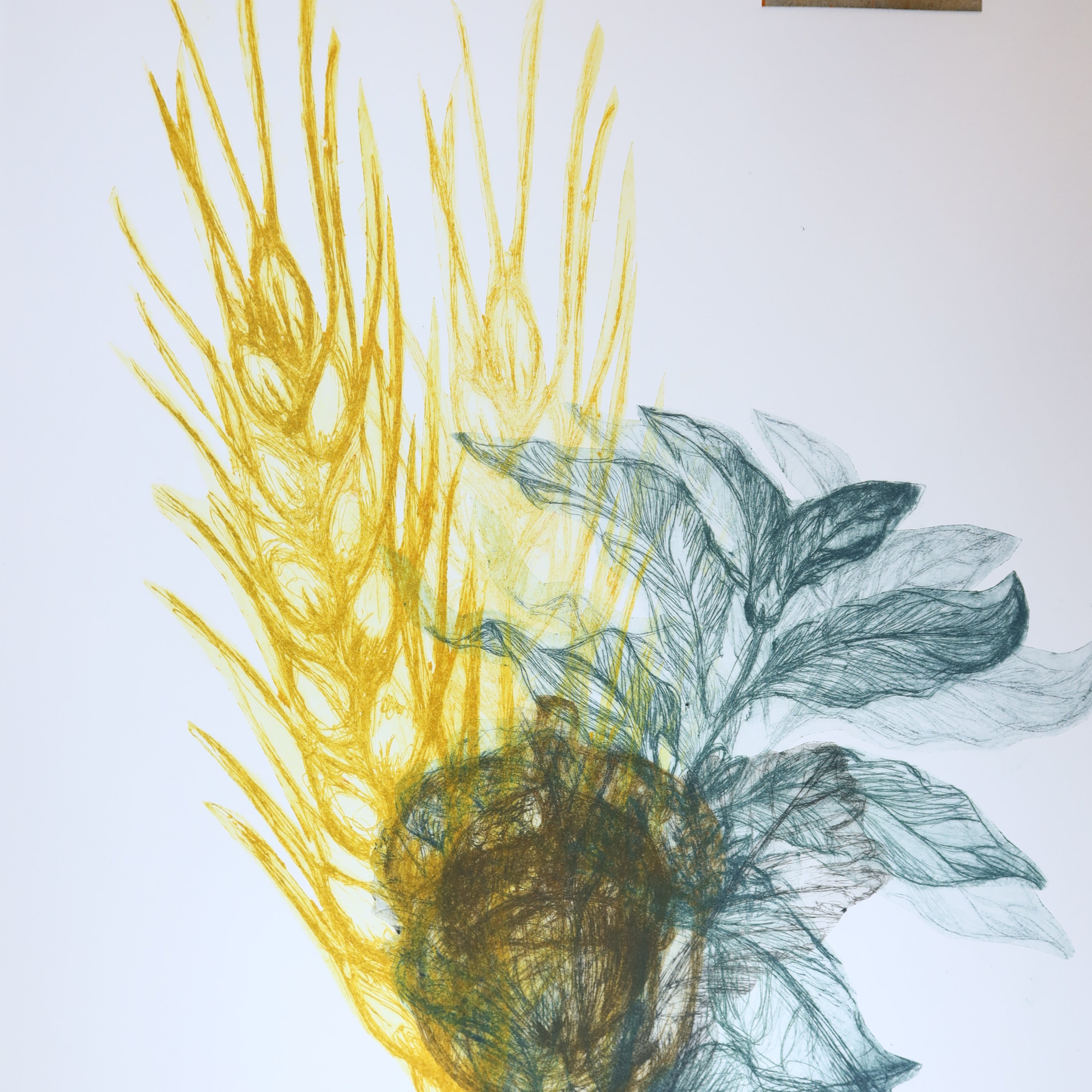 Œuvre originale de la collection Vanitas, gravure sur papier, motifs de nature associant blé et feuillage.